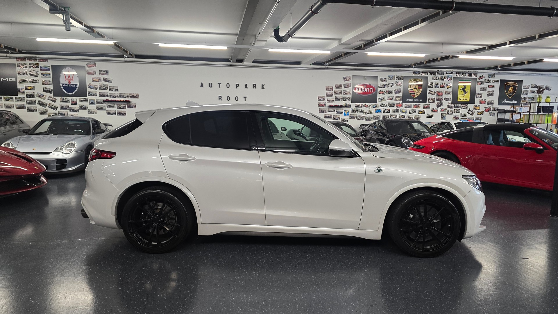 ALFA ROMEO Stelvio 2.9 V6 Quadrifoglio Q4 Automatic-image-4