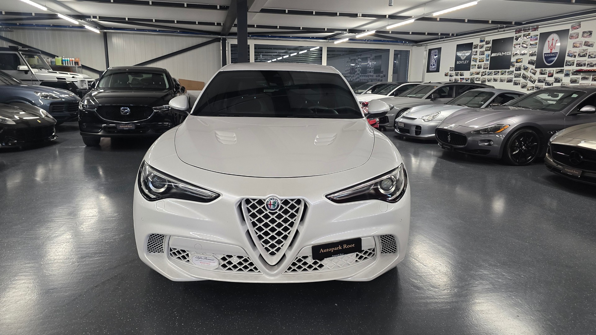 ALFA ROMEO Stelvio 2.9 V6 Quadrifoglio Q4 Automatic-image-14