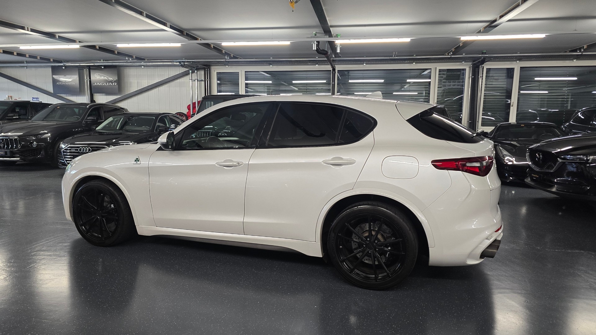 ALFA ROMEO Stelvio 2.9 V6 Quadrifoglio Q4 Automatic-image-9