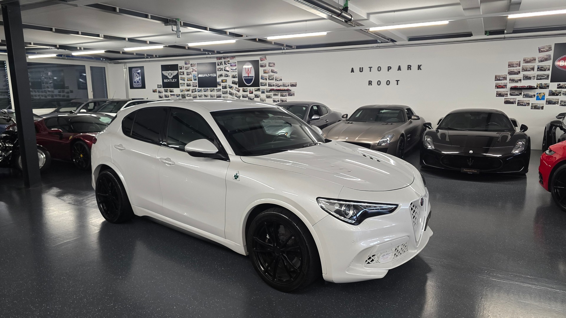 ALFA ROMEO Stelvio 2.9 V6 Quadrifoglio Q4 Automatic-image-16