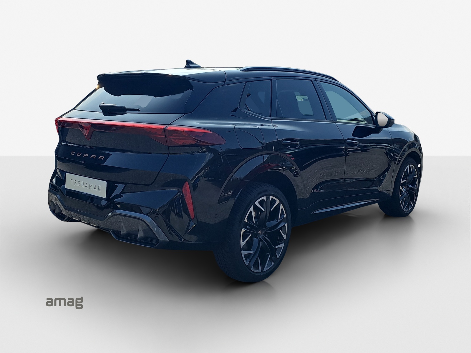 CUPRA Terramar 2.0 TSI DSG 4Drive VZ-image-4