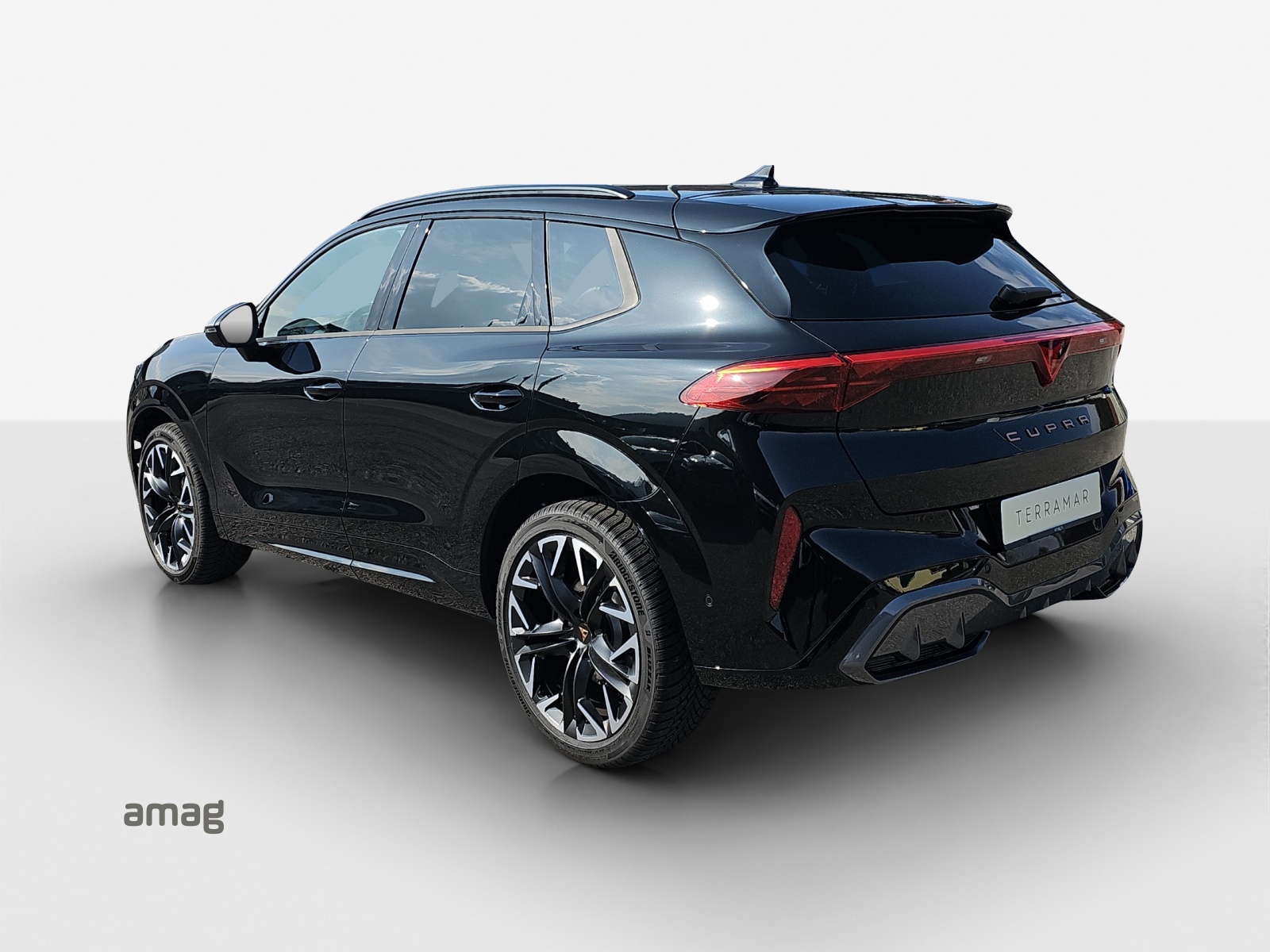 CUPRA Terramar 2.0 TSI DSG 4Drive VZ-image-2