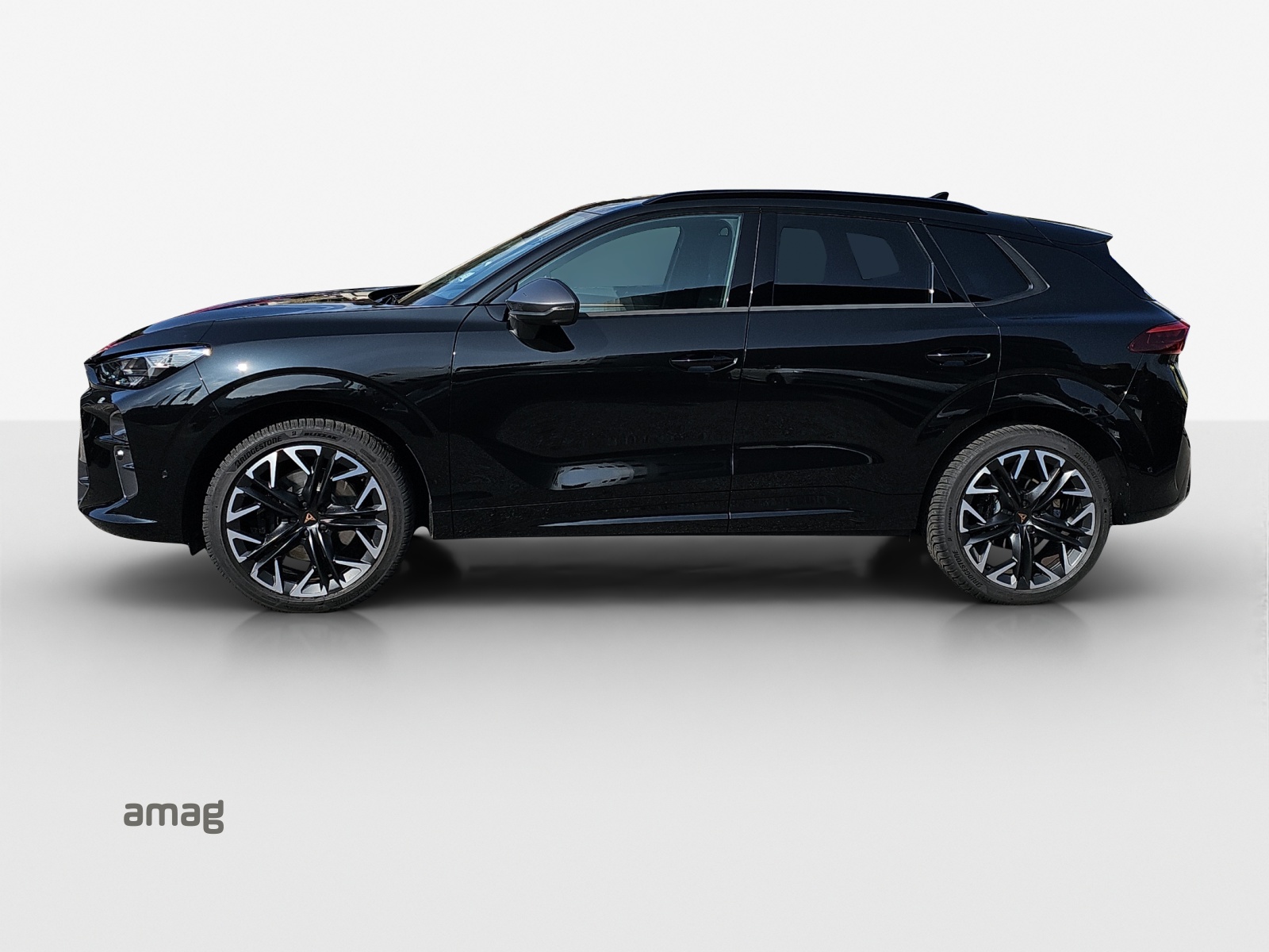 CUPRA Terramar 2.0 TSI DSG 4Drive VZ-image-1
