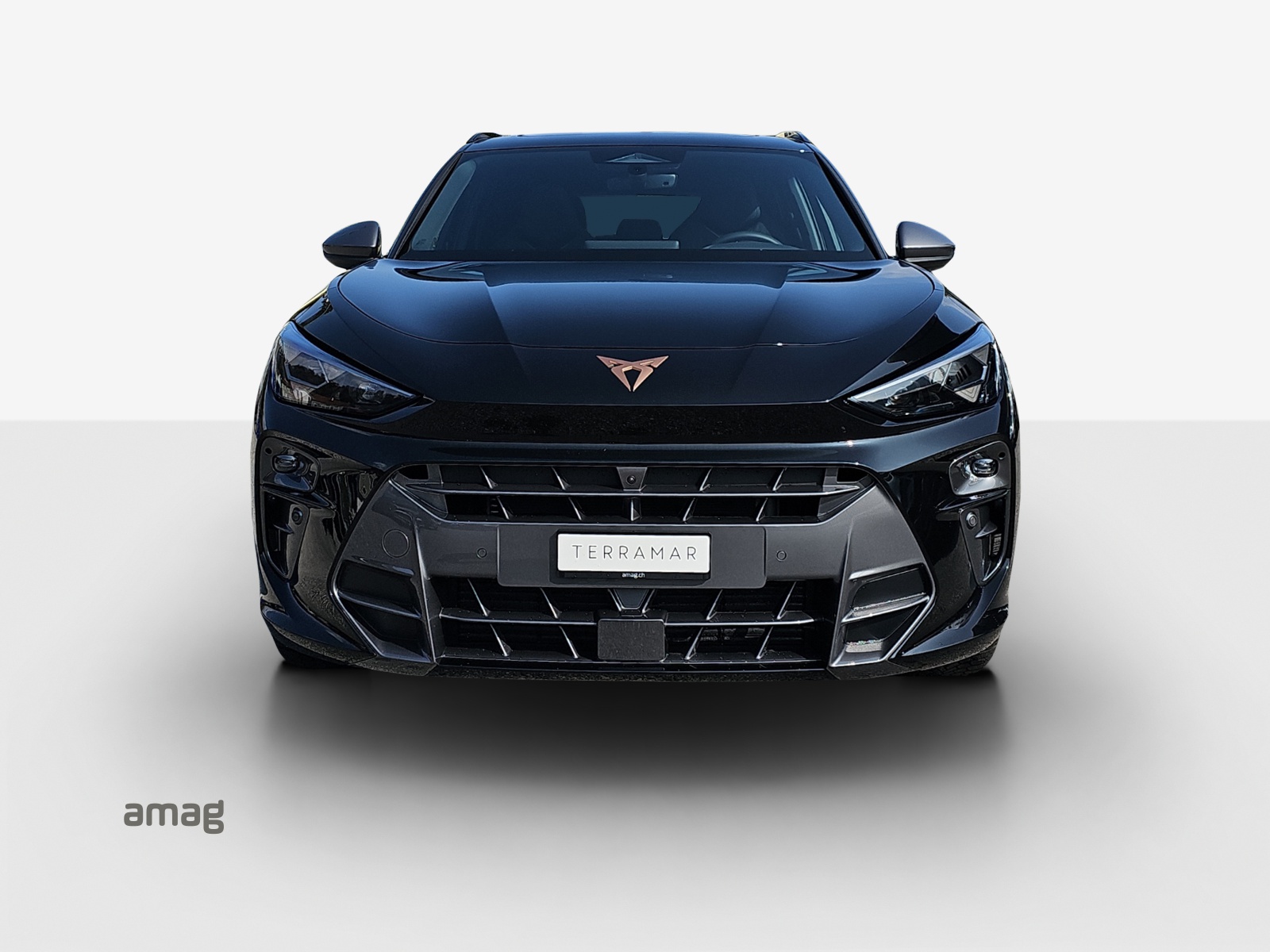 CUPRA Terramar 2.0 TSI DSG 4Drive VZ-image-6