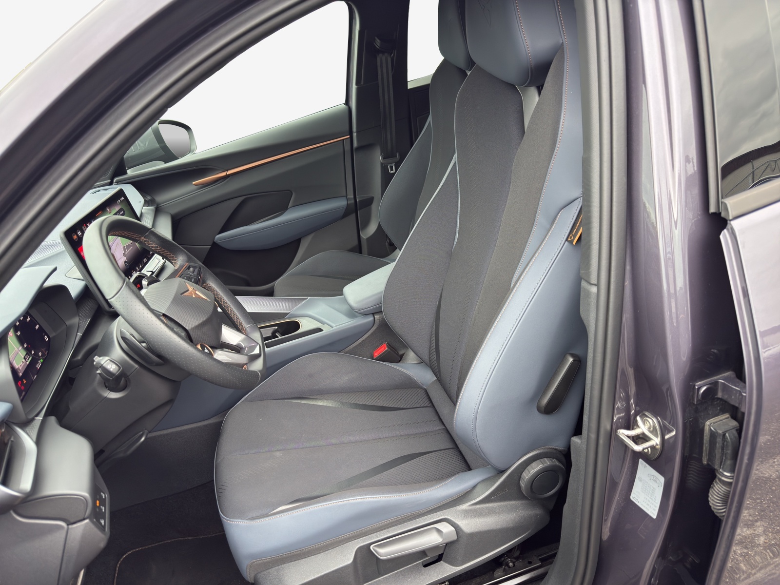 CUPRA Terramar 2.0 TSI DSG 4Drive VZ-image-7