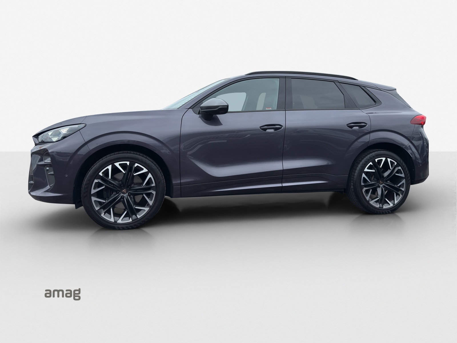 CUPRA Terramar 2.0 TSI DSG 4Drive VZ-image-1