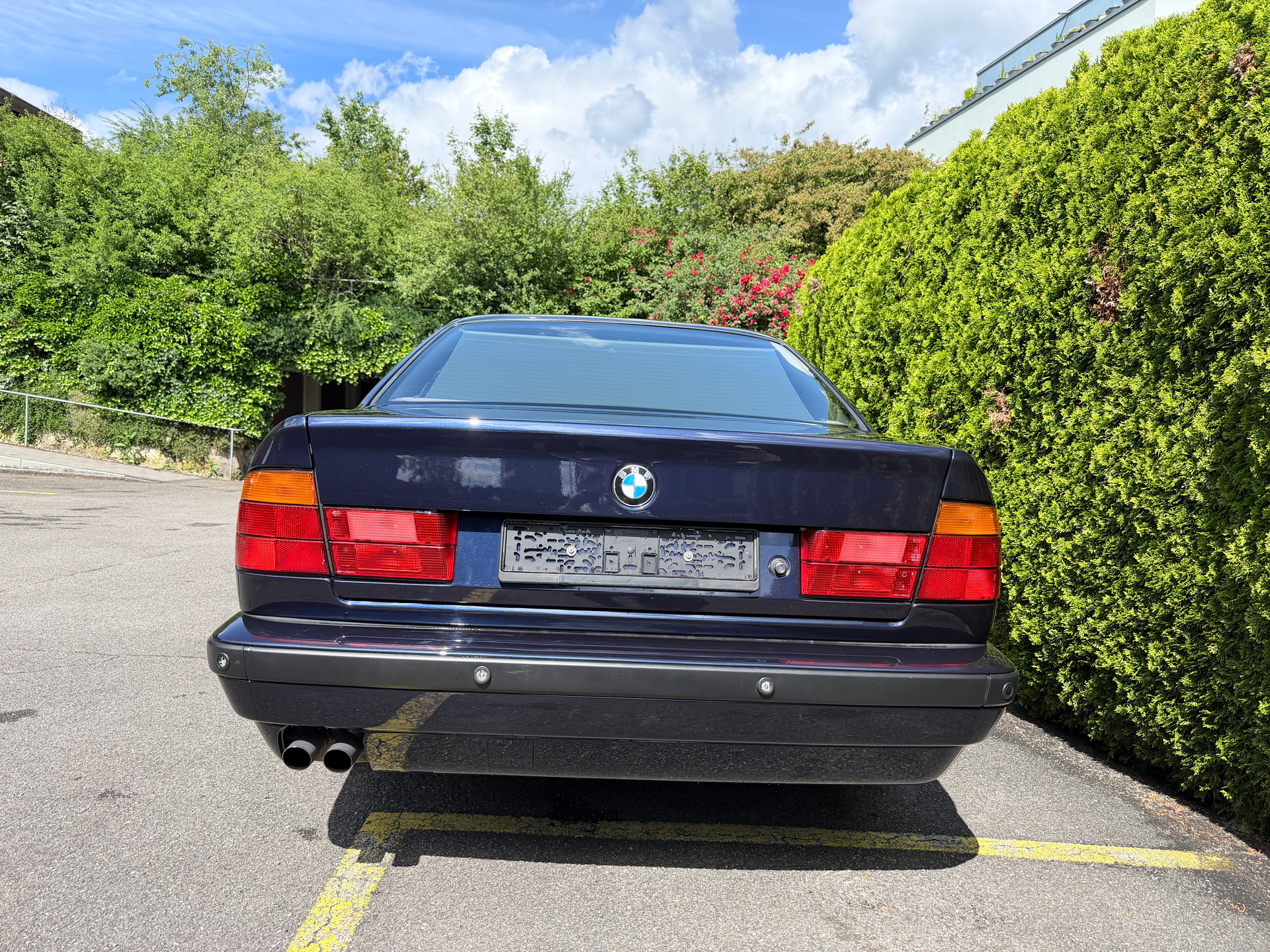 BMW 530i V8 A-image-3