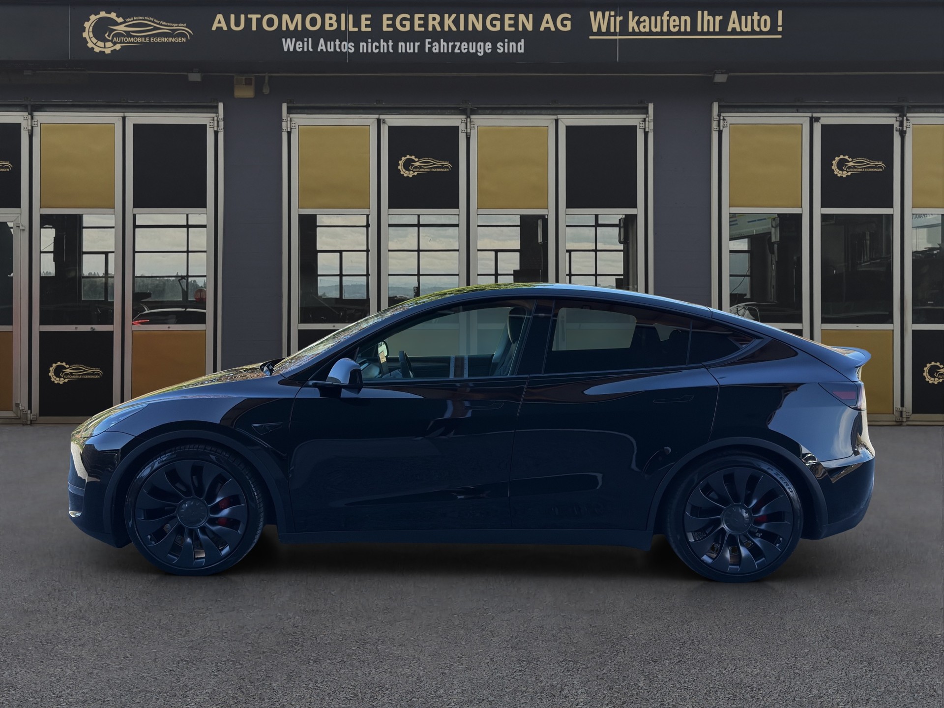 TESLA Model Y Performance D-image-7