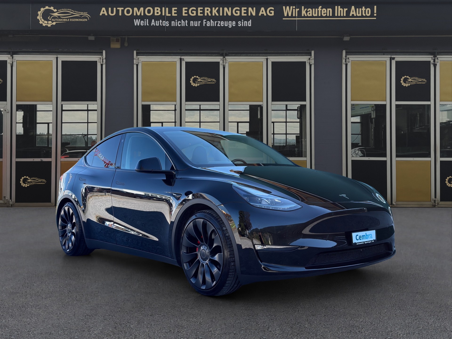 TESLA Model Y Performance D-image-2