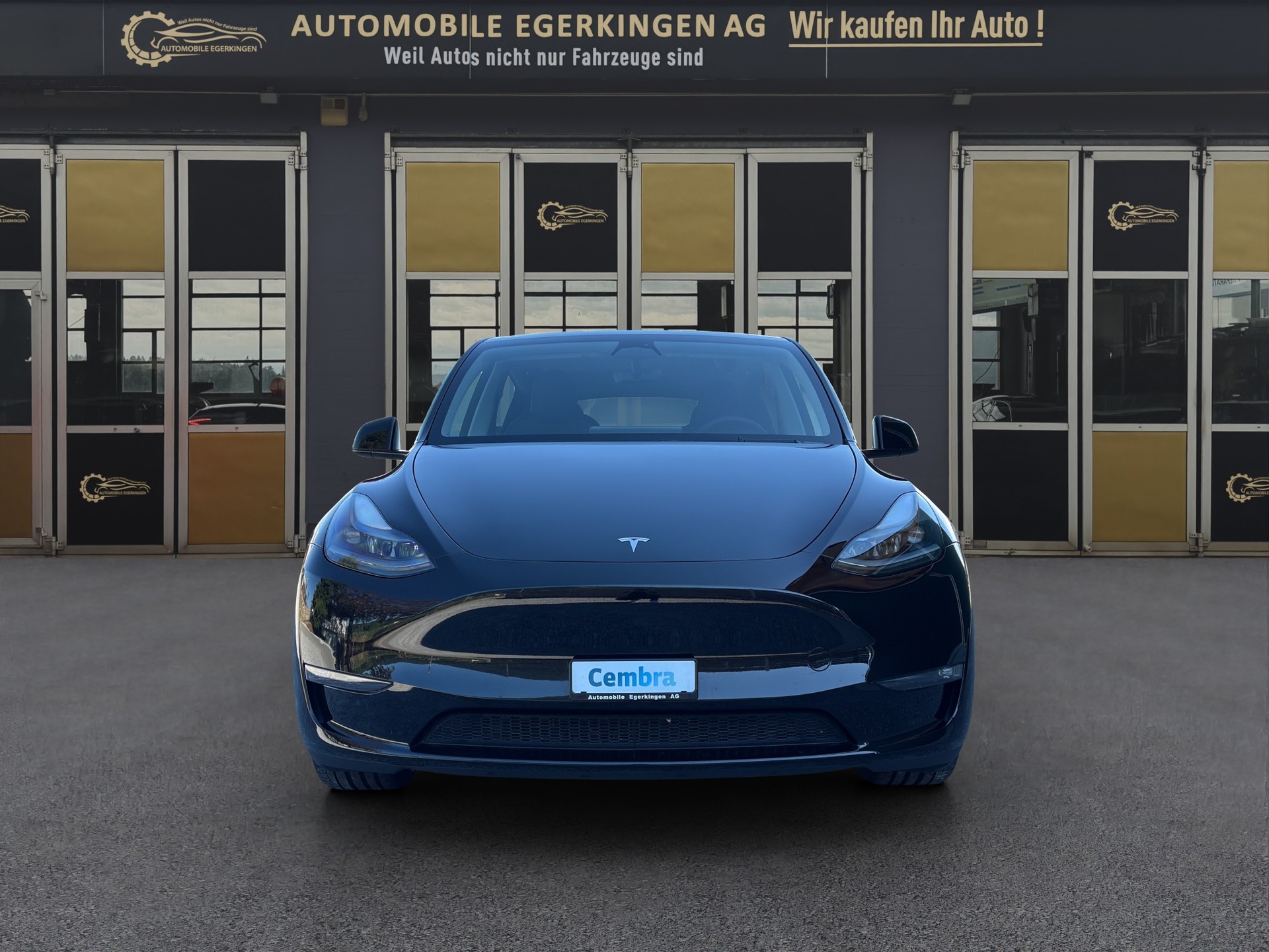 TESLA Model Y Performance D-image-1