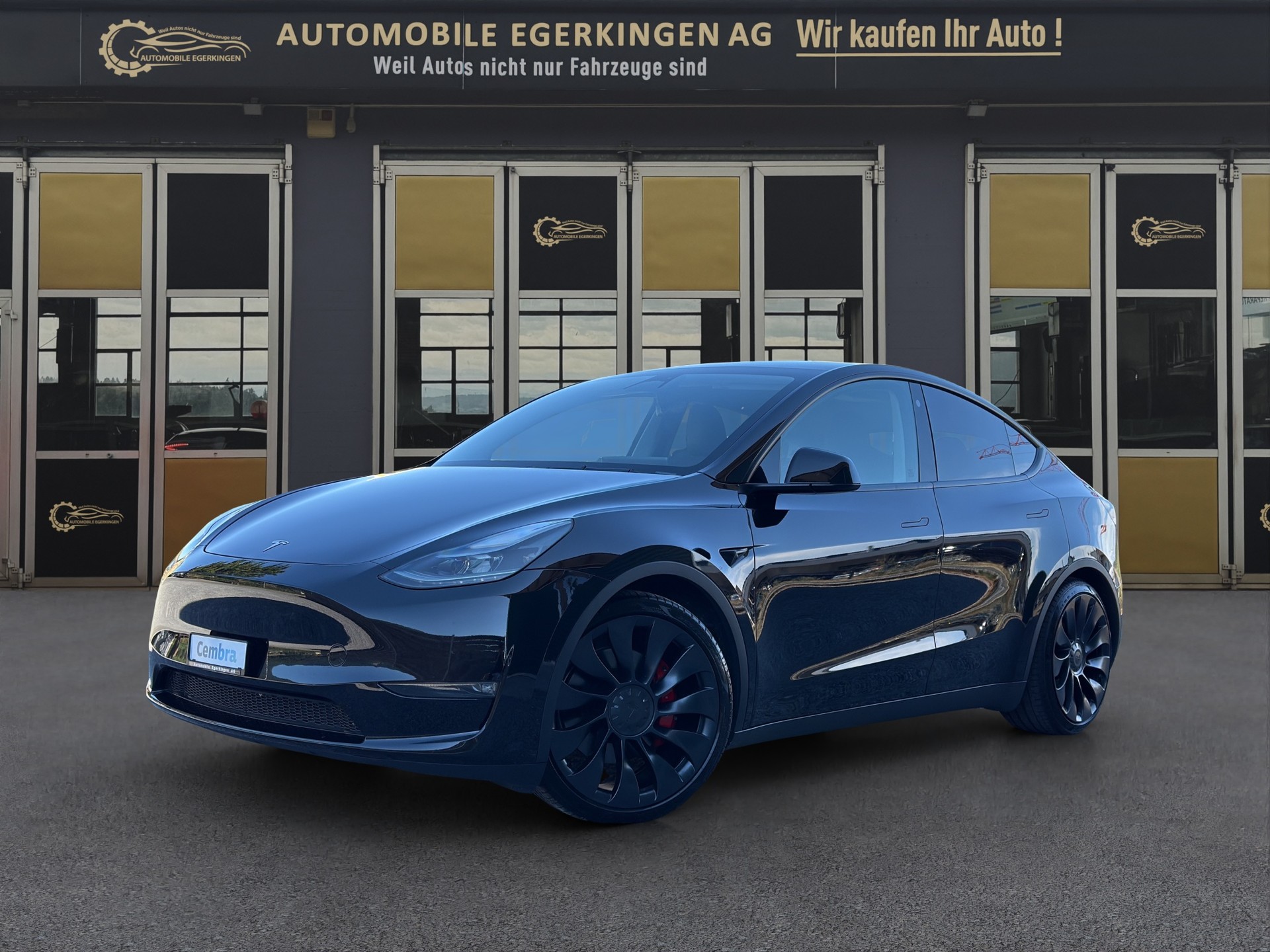 TESLA Model Y Performance D-image-0