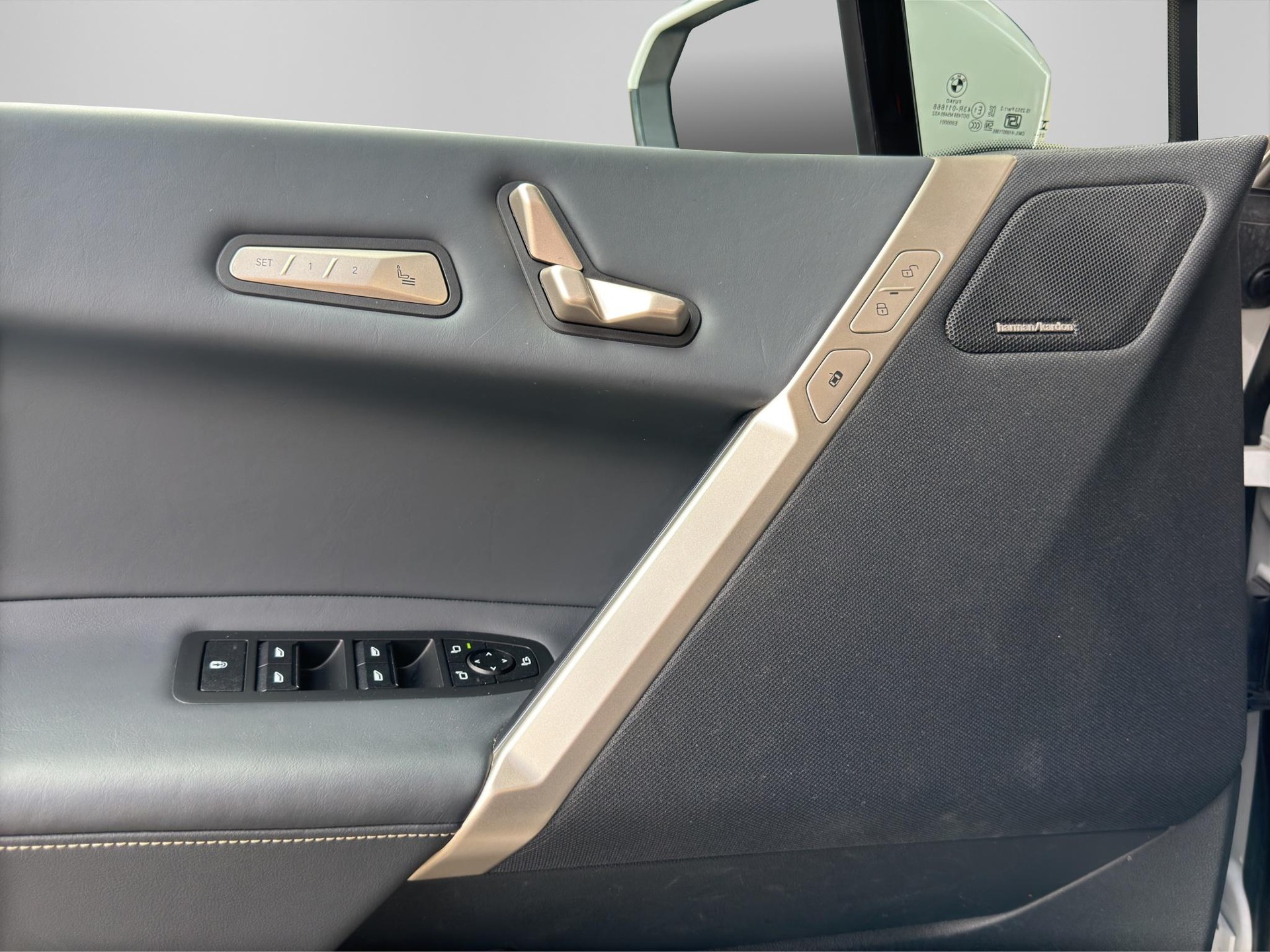 BMW iX xDrive40-image-12