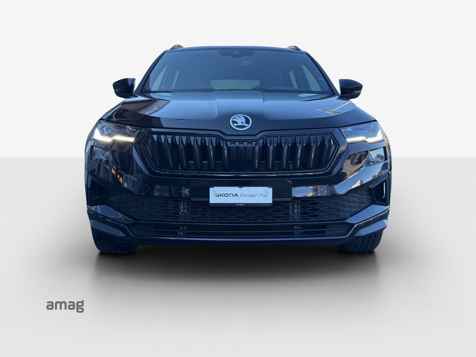 SKODA Karoq 1.5 TSI SportLine DSG-image-6