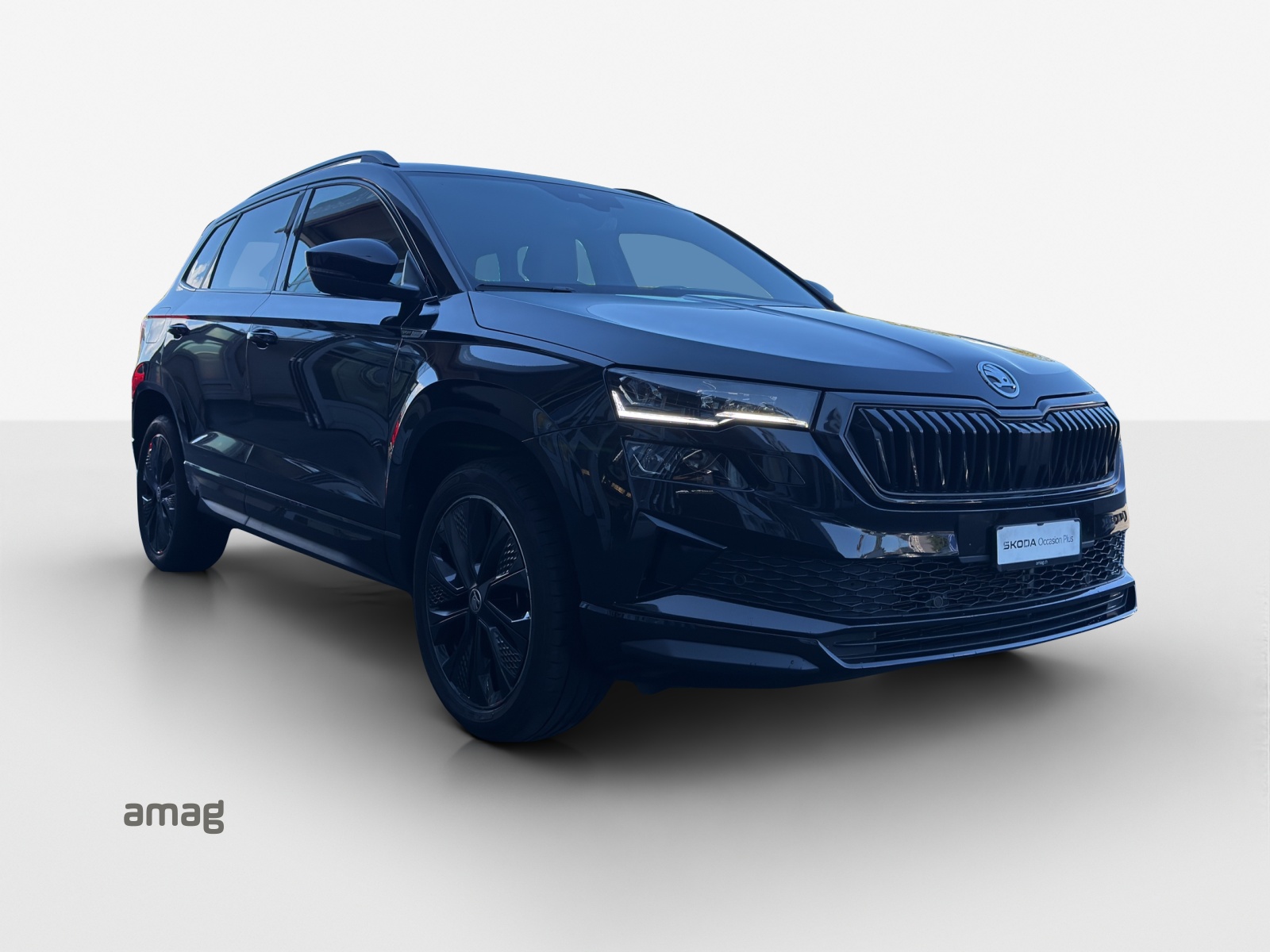 SKODA Karoq 1.5 TSI SportLine DSG-image-5