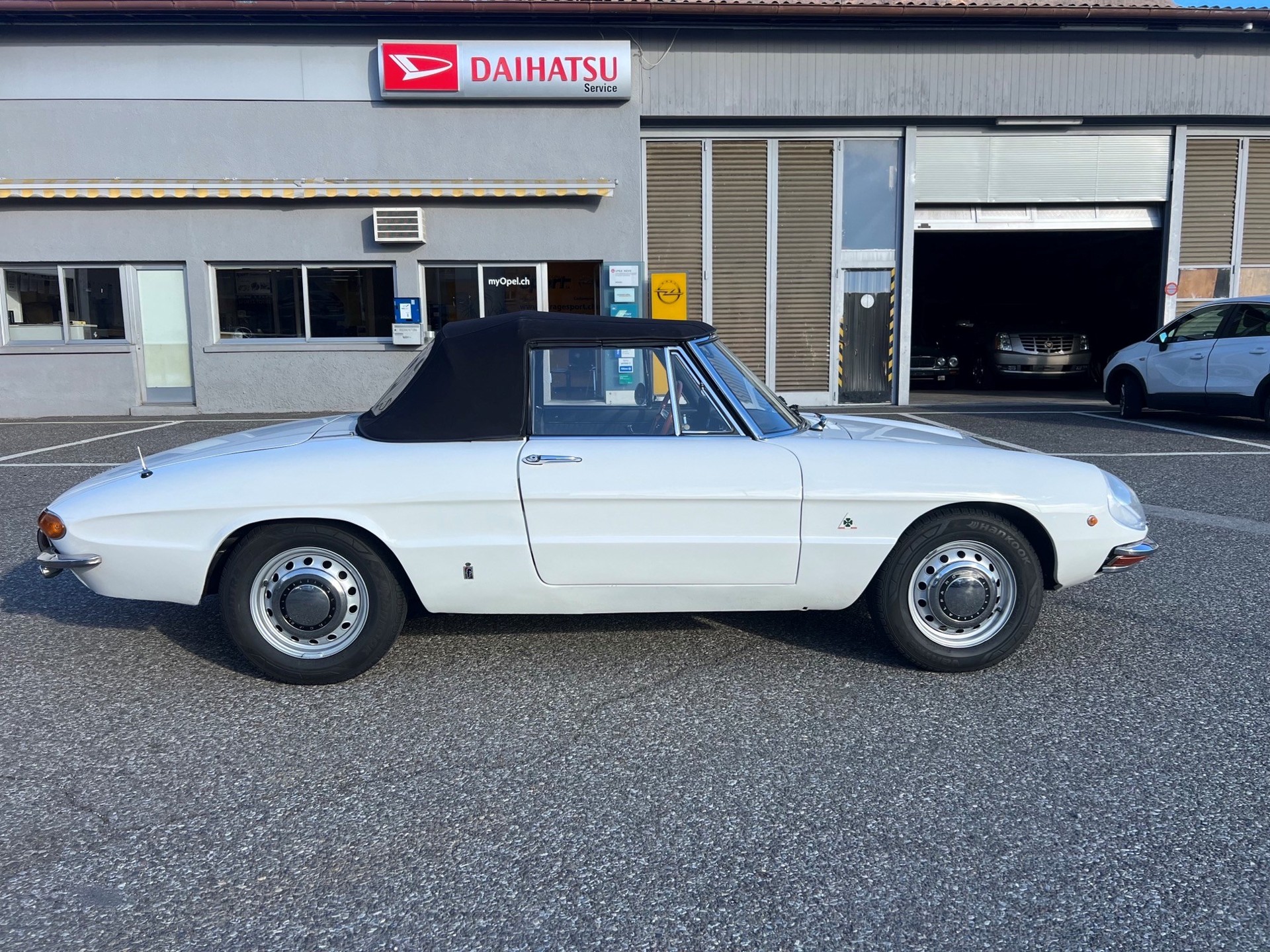 ALFA ROMEO SPIDER 1750 OSSO DI SEPPIA-image-6