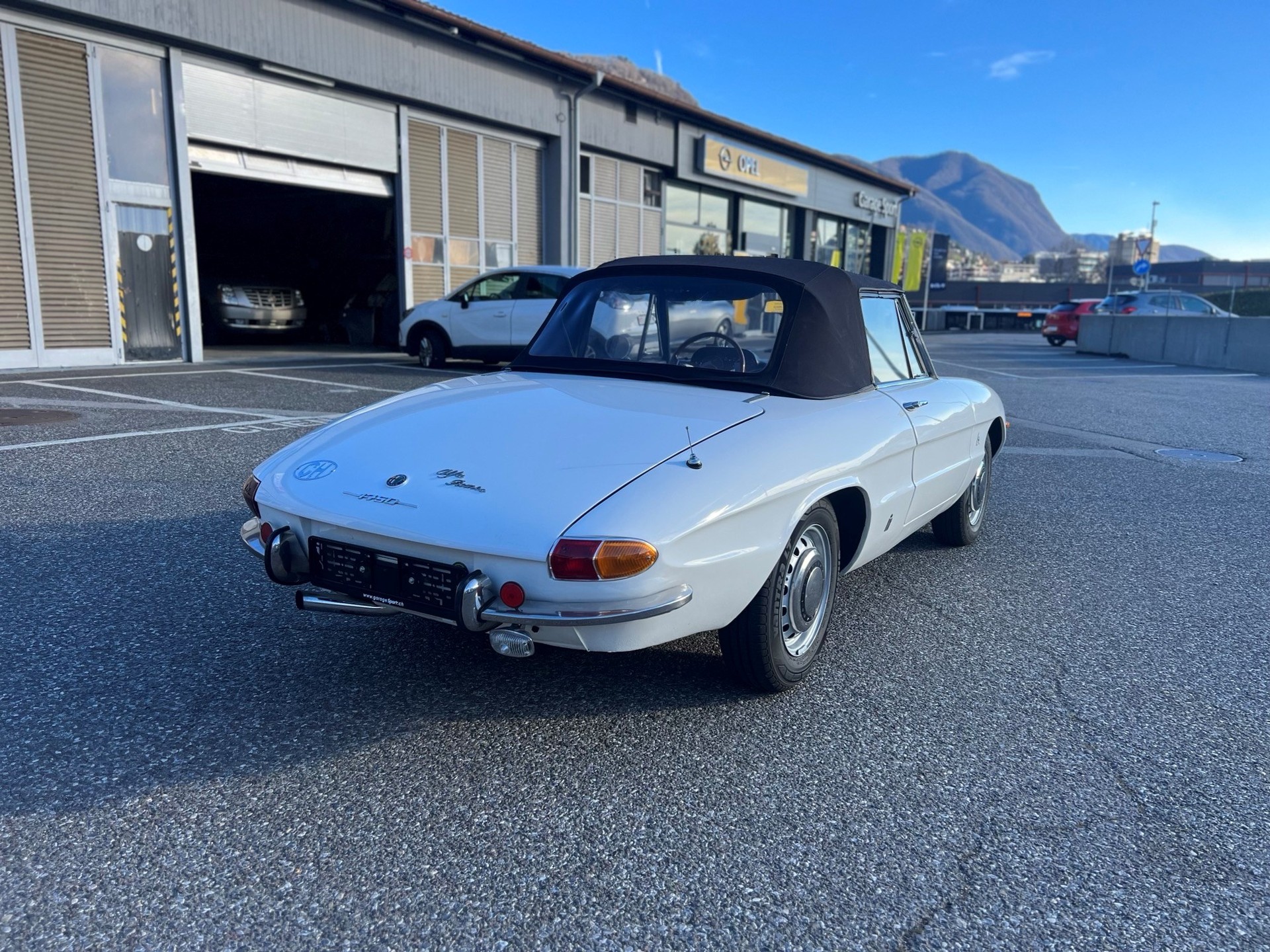ALFA ROMEO SPIDER 1750 OSSO DI SEPPIA-image-5