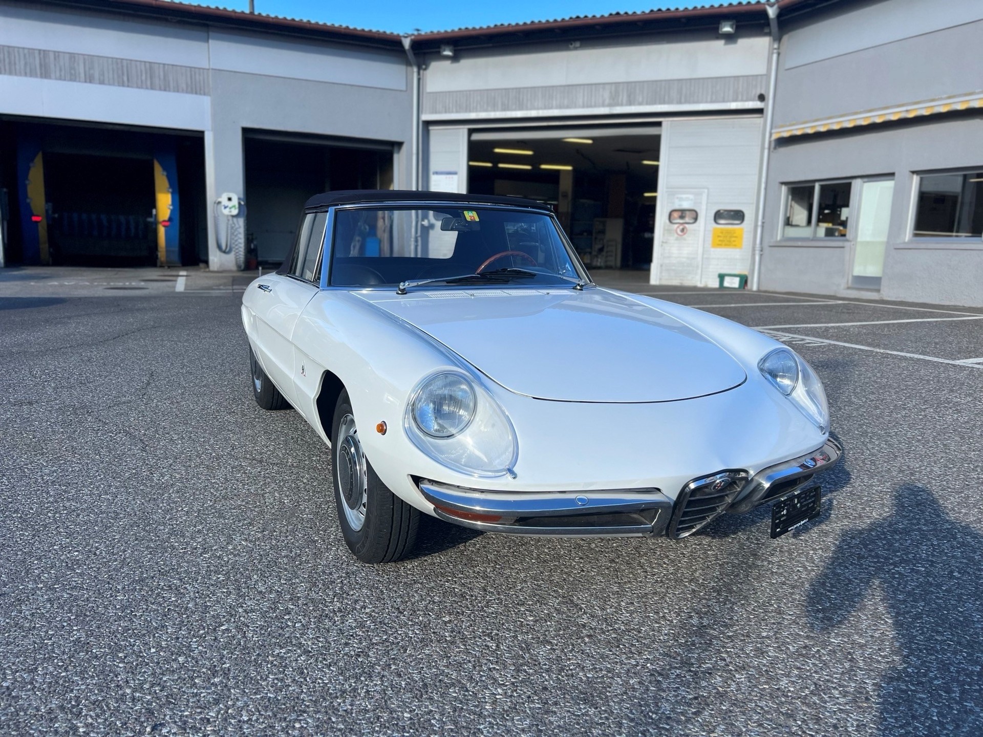 ALFA ROMEO SPIDER 1750 OSSO DI SEPPIA-image-0