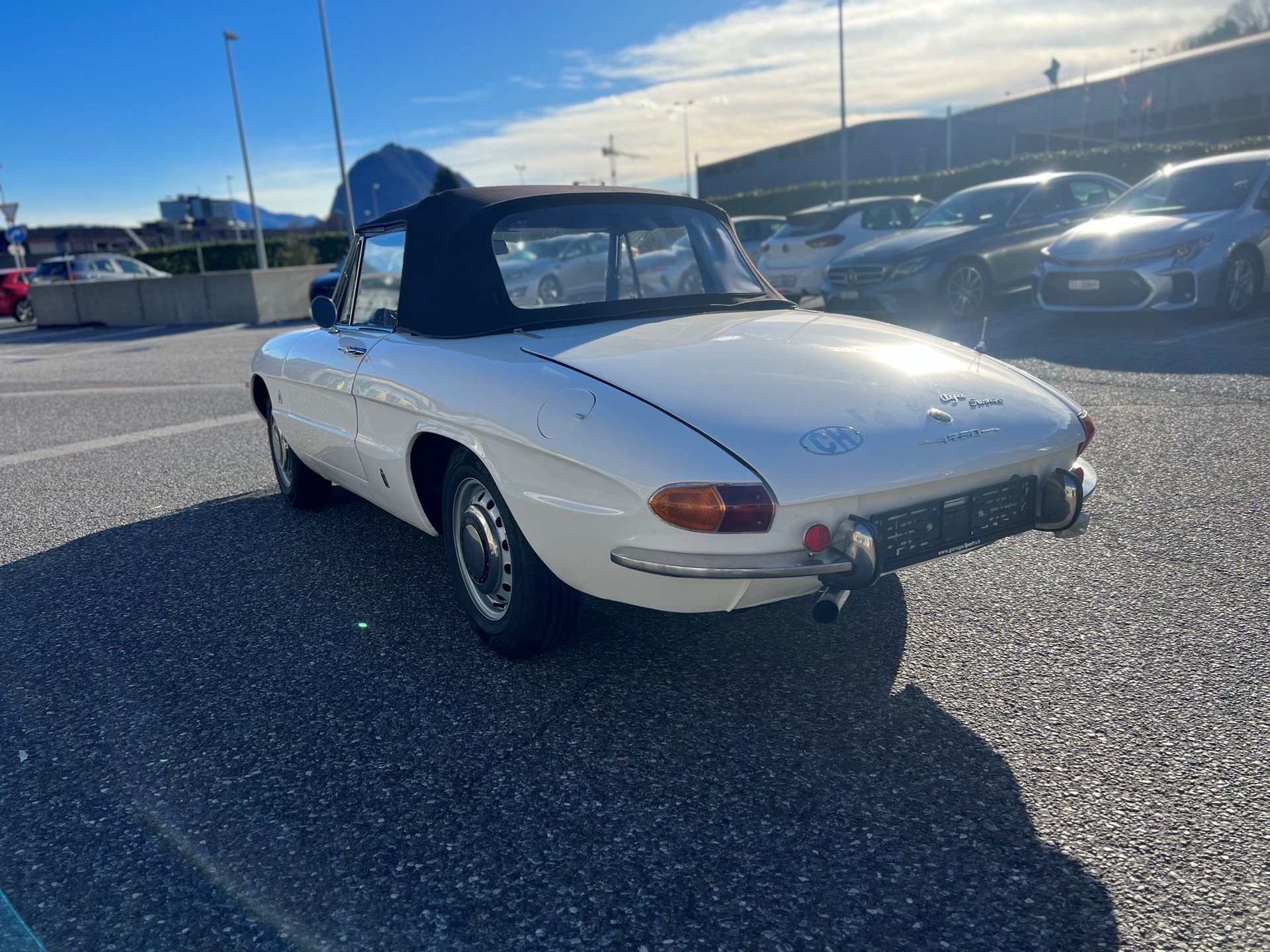 ALFA ROMEO SPIDER 1750 OSSO DI SEPPIA-image-4