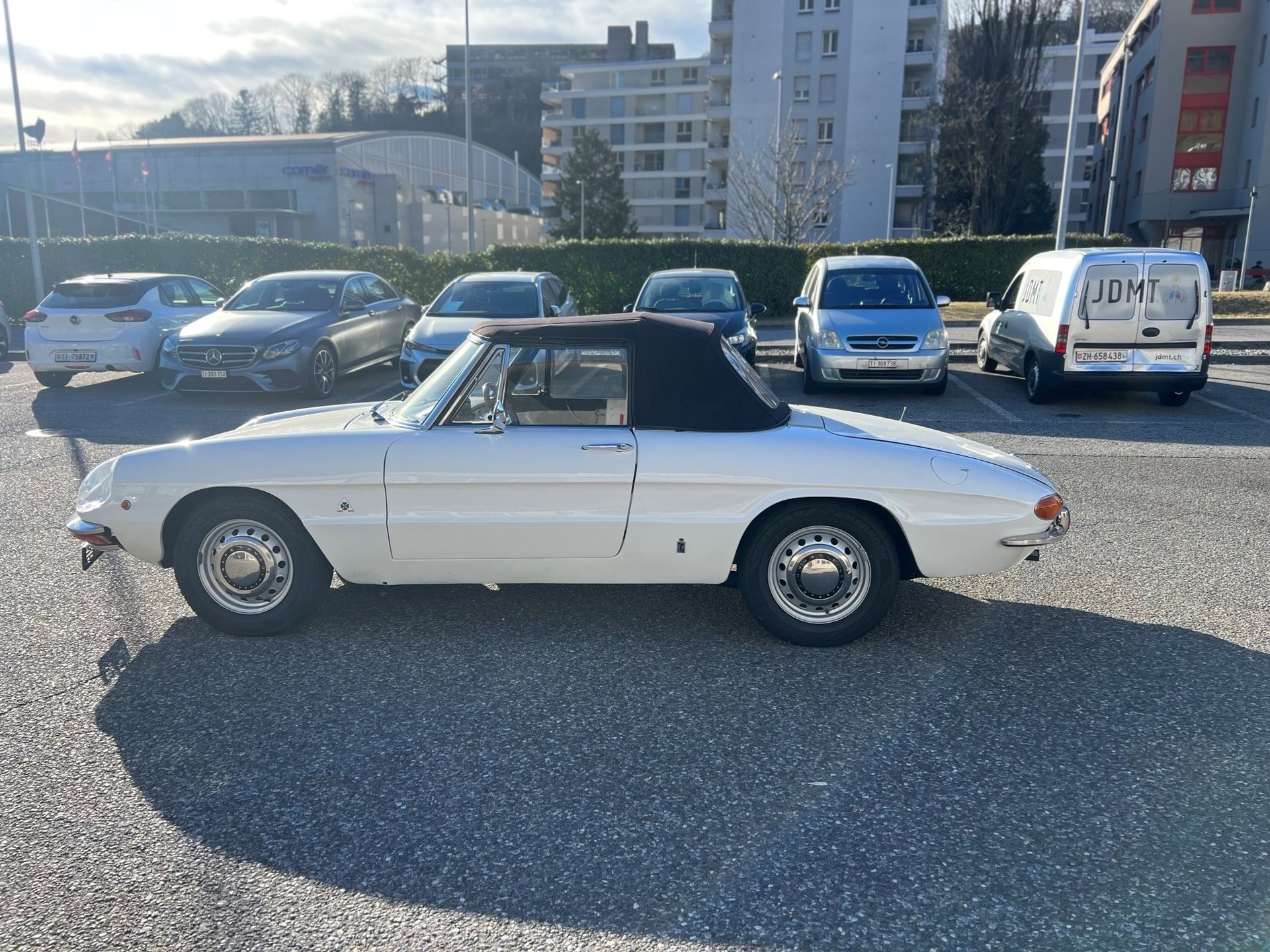 ALFA ROMEO SPIDER 1750 OSSO DI SEPPIA-image-3
