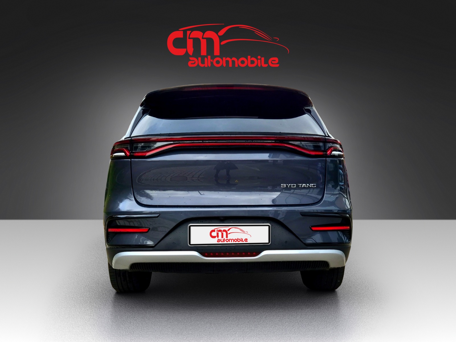 BYD Flagship 7 Plaetzer 4WD-image-3