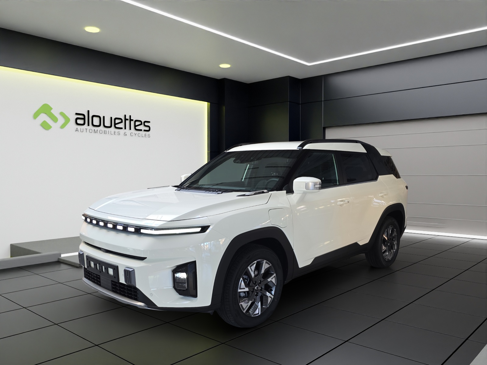 KGM-SsangYong Torres EVX 73 kWh Platinum-image-0