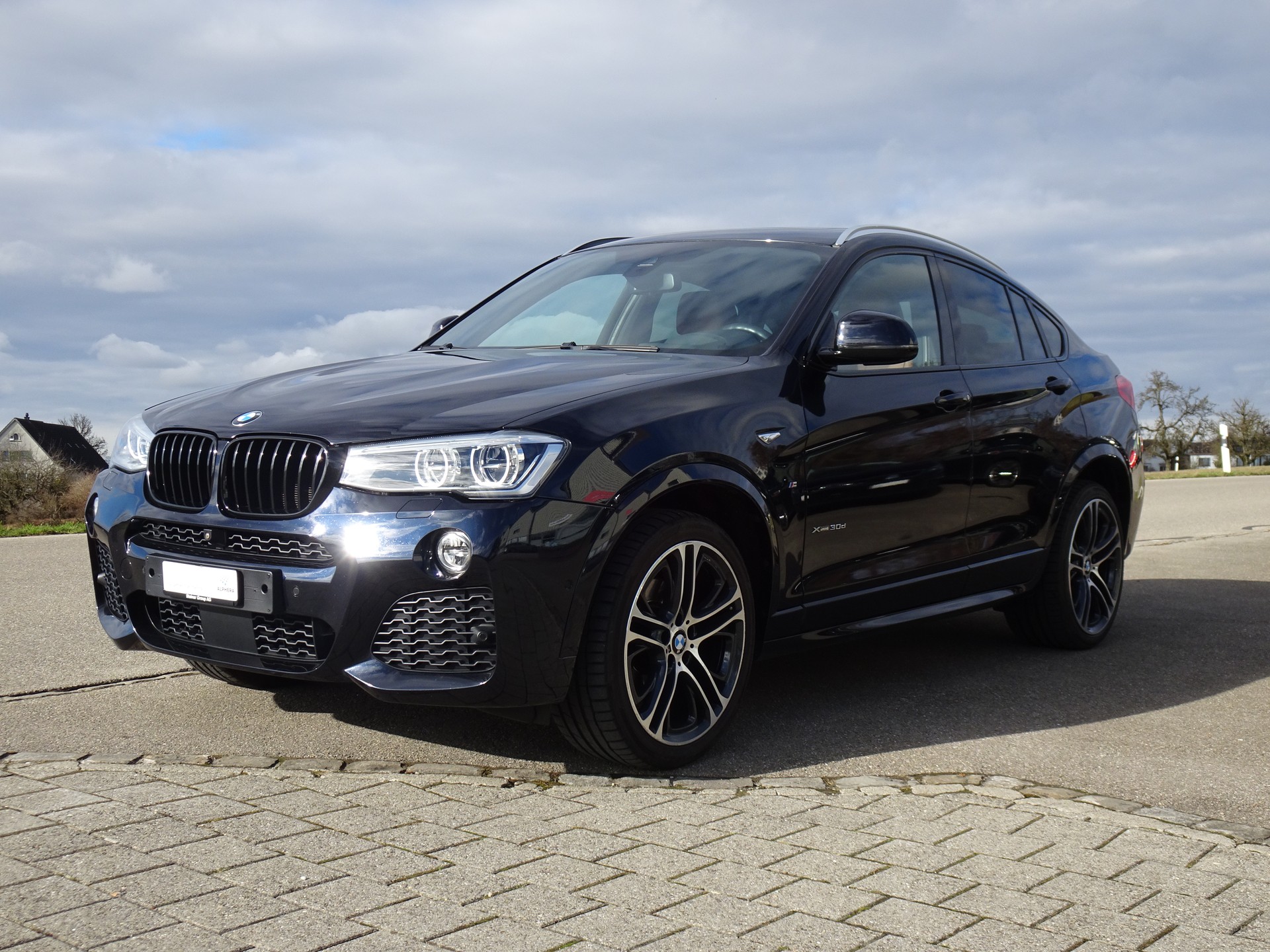 BMW X4 xDrive 30d M Sport Steptronic-image-0