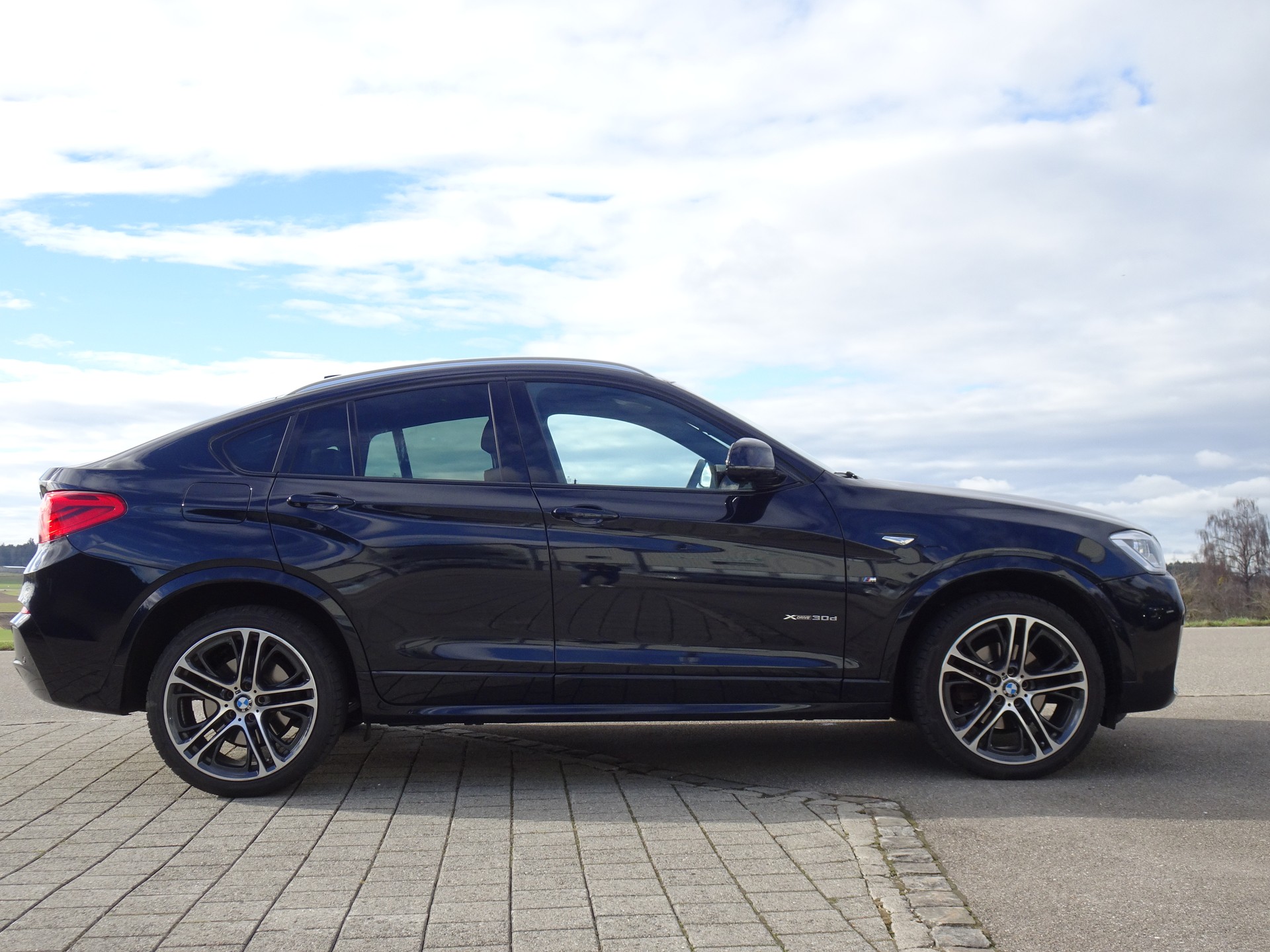 BMW X4 xDrive 30d M Sport Steptronic-image-4