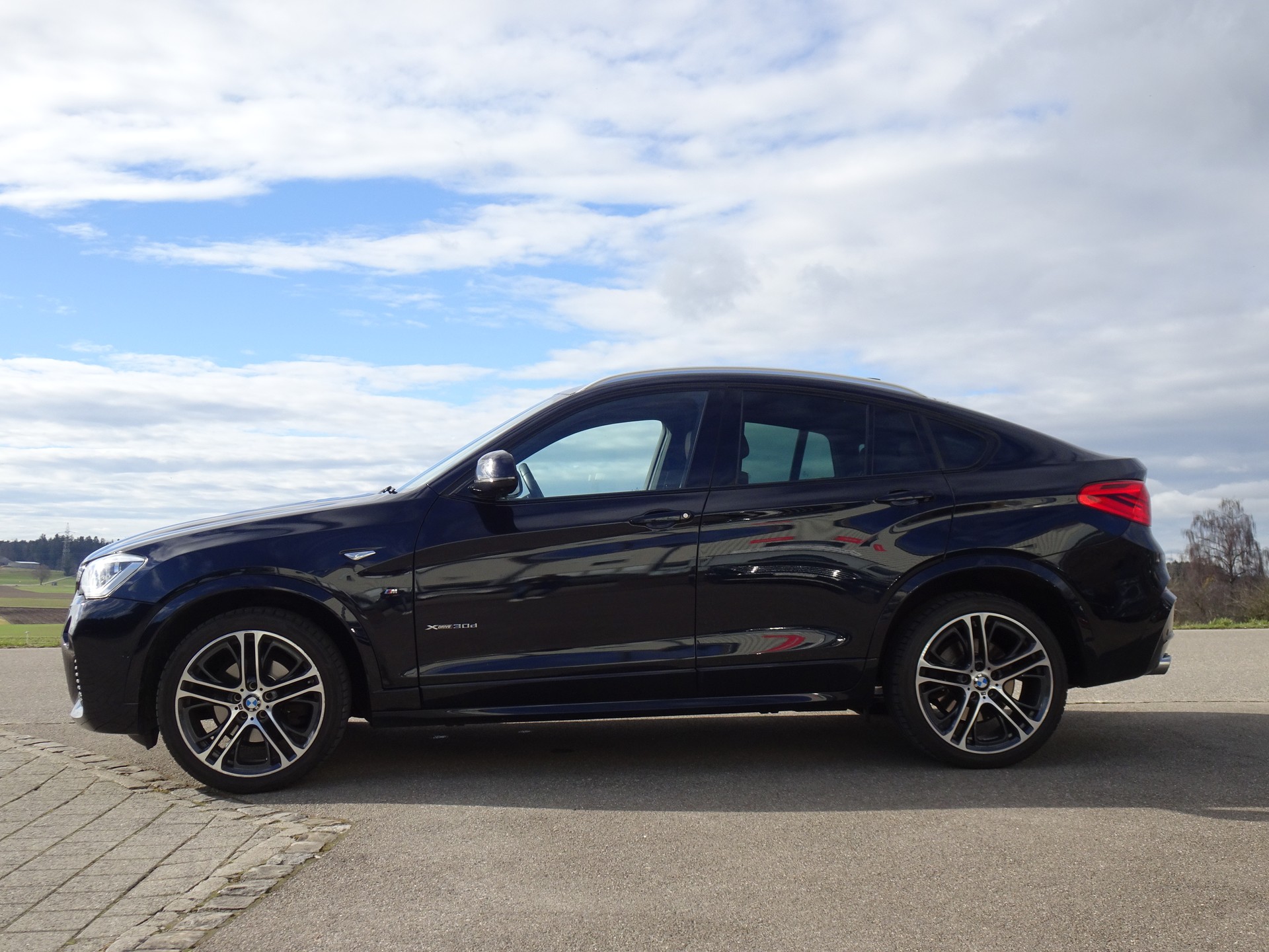 BMW X4 xDrive 30d M Sport Steptronic-image-1