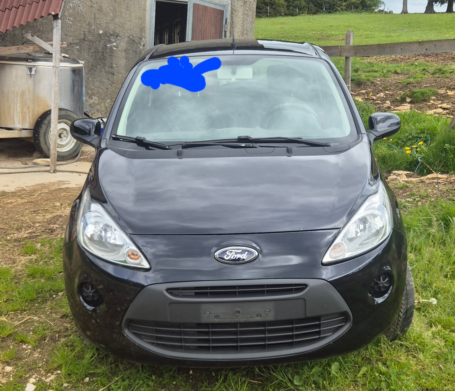 FORD 1.2 Tattoo-image-2