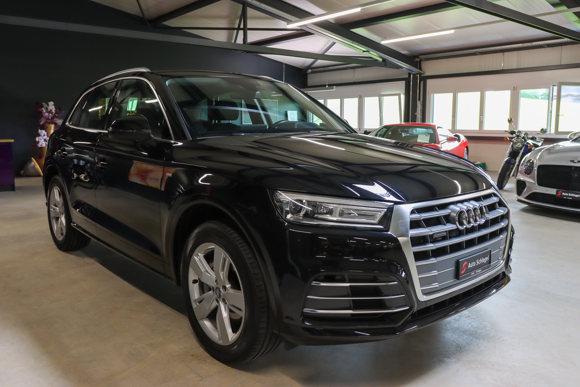 AUDI Q5 55 TFSI e quattro-image-6