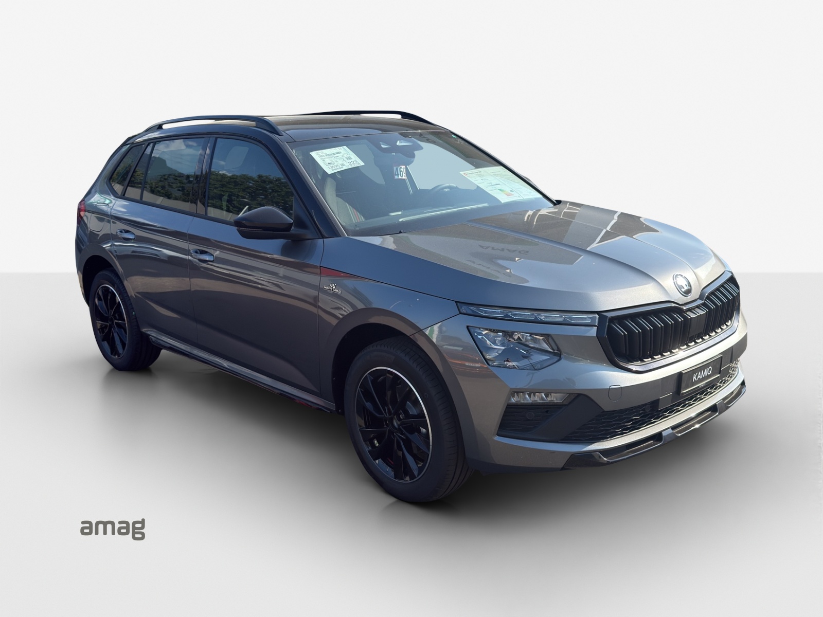 SKODA Kamiq 1.0 TSI Monte Carlo DSG-image-5
