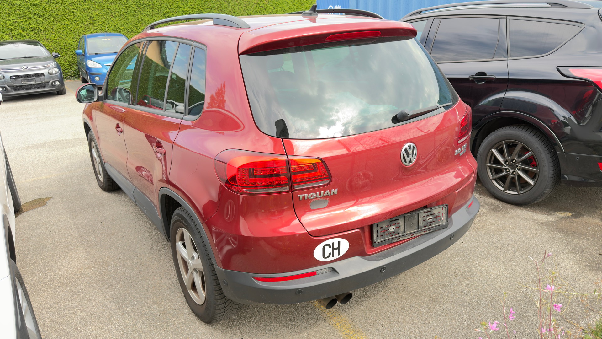 VW Tiguan 2.0 TSI Track&Field 4Motion DSG-image-5