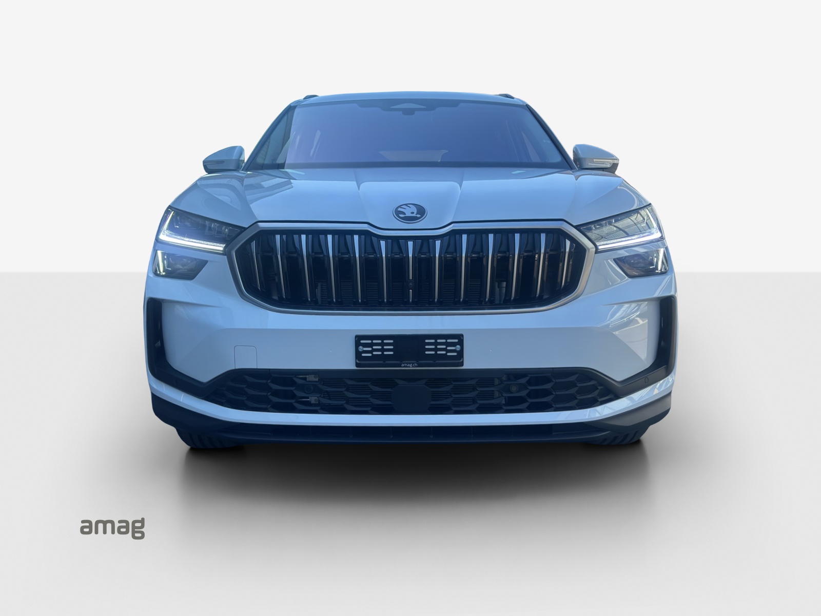 SKODA Kodiaq 1.5 TSI PHEV Dynamic-image-6