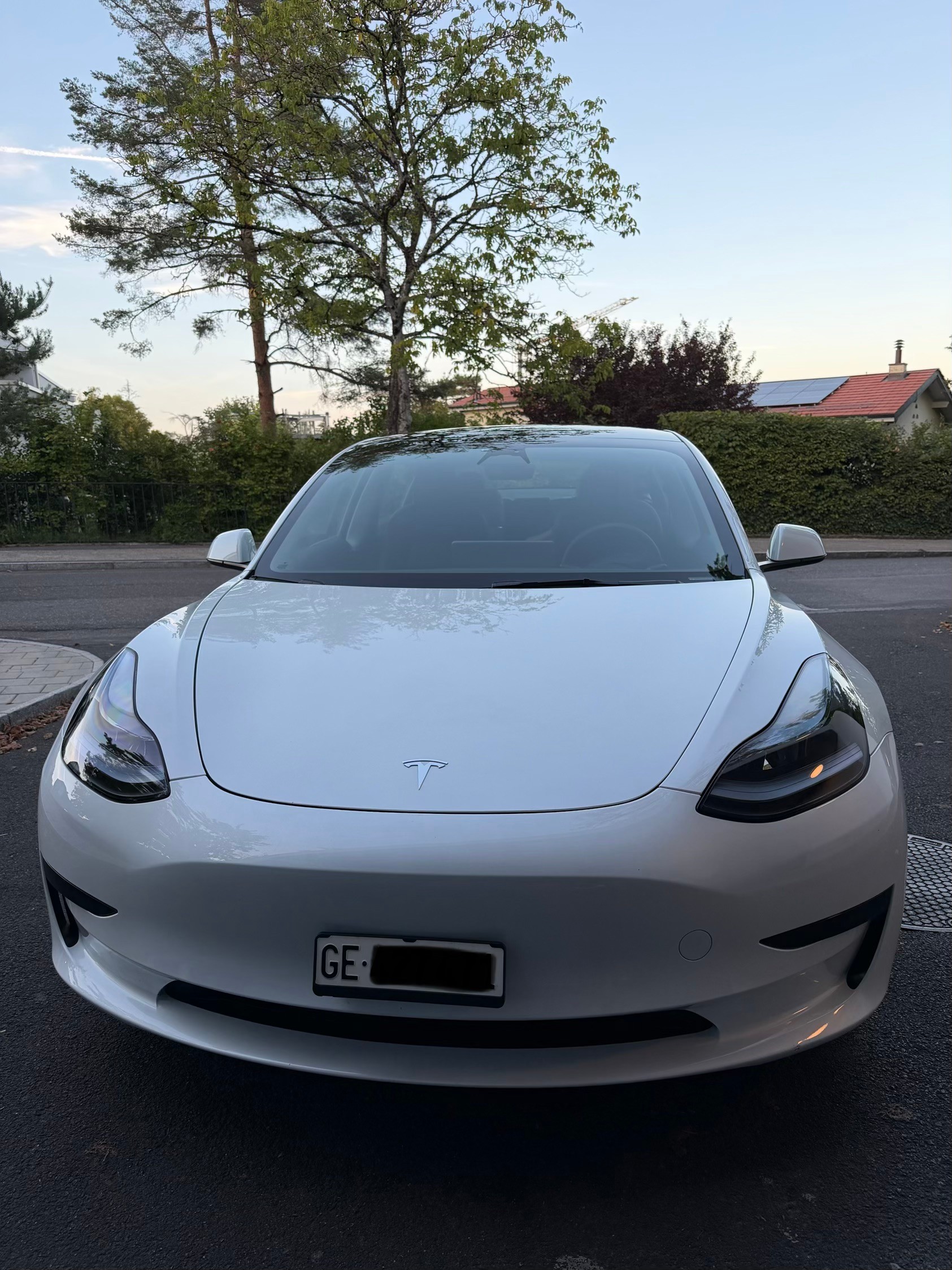 TESLA MODEL 3-image-1