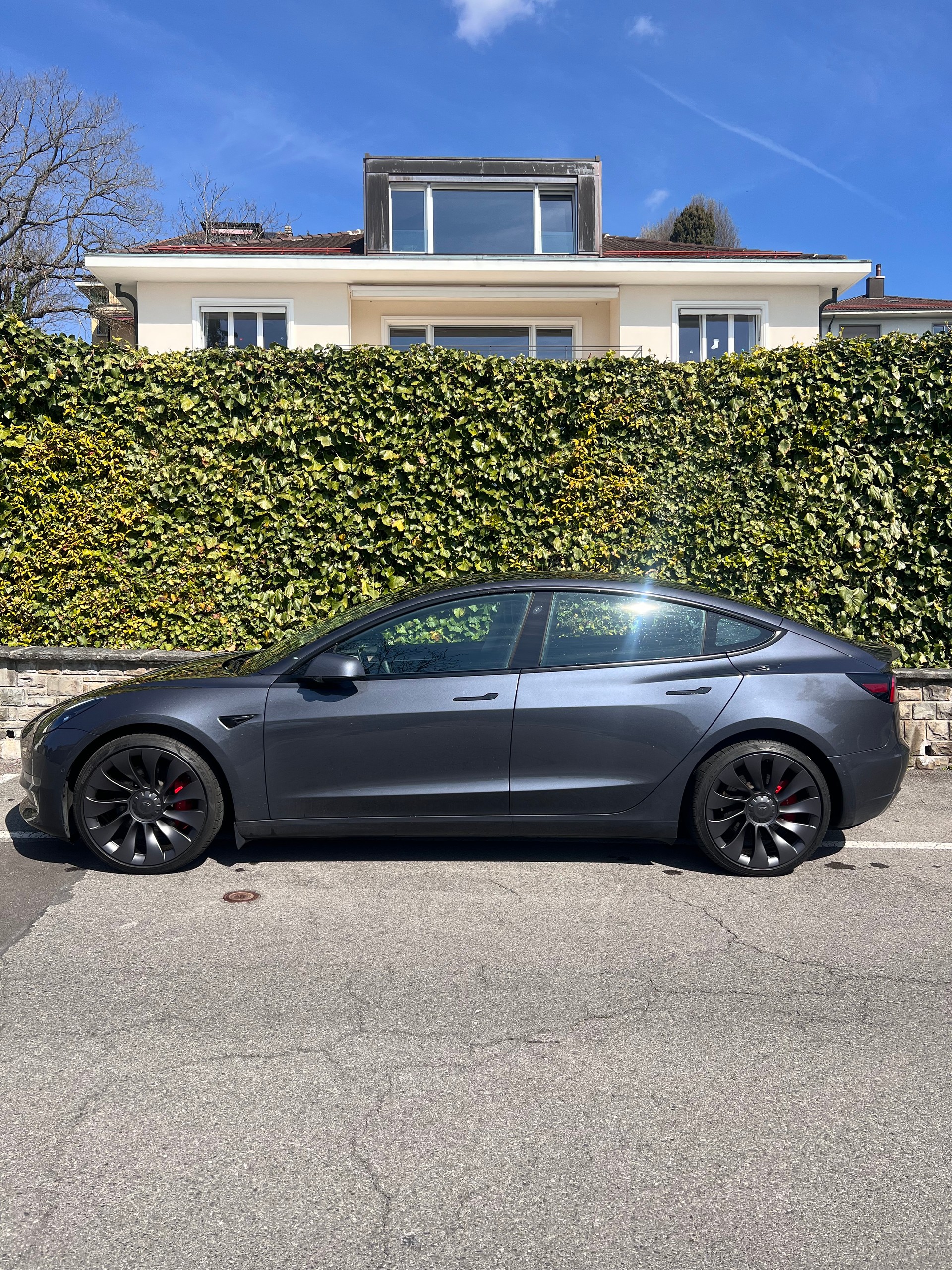 TESLA Performance D-image-0