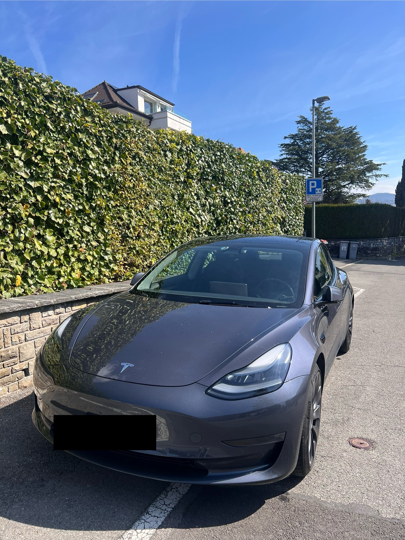 TESLA Performance D-image-1