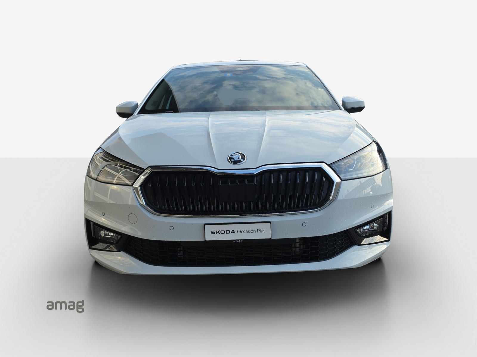 SKODA Fabia 1.0 TSI Dynamic DSG-image-6