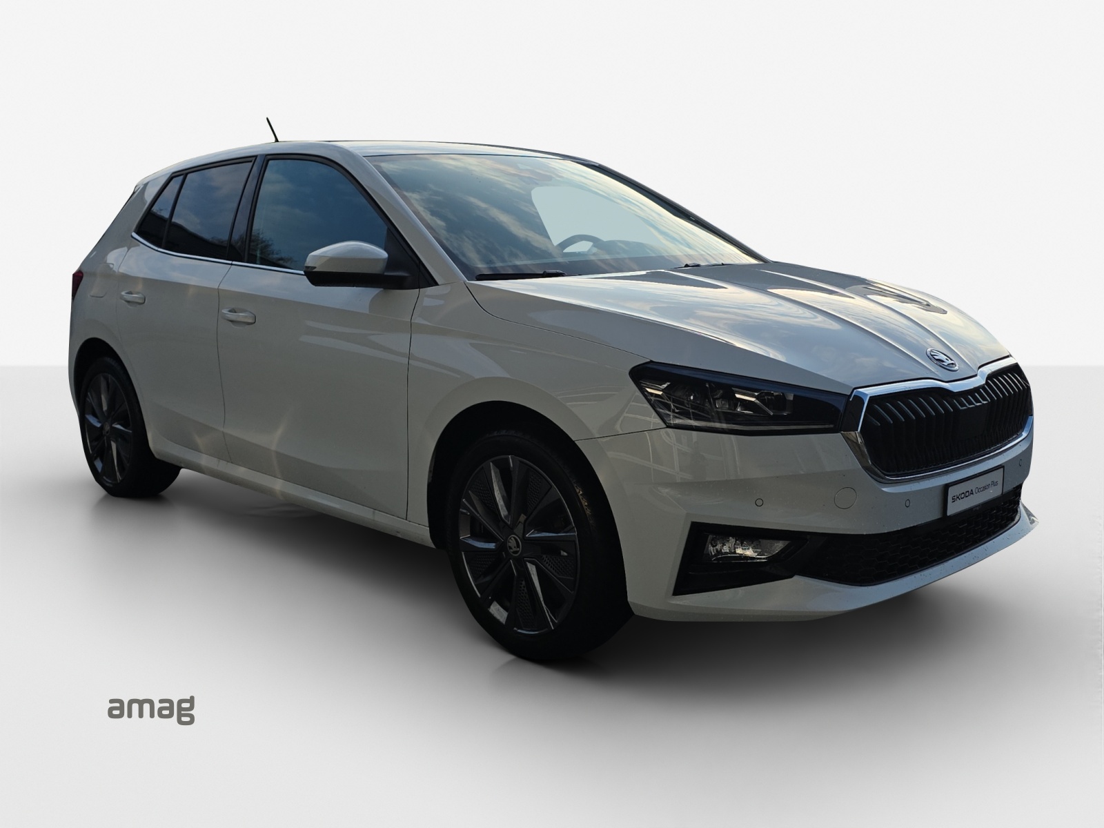 SKODA Fabia 1.0 TSI Dynamic DSG-image-5