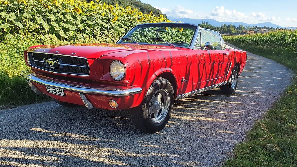 FORD MUSTANG-image-0