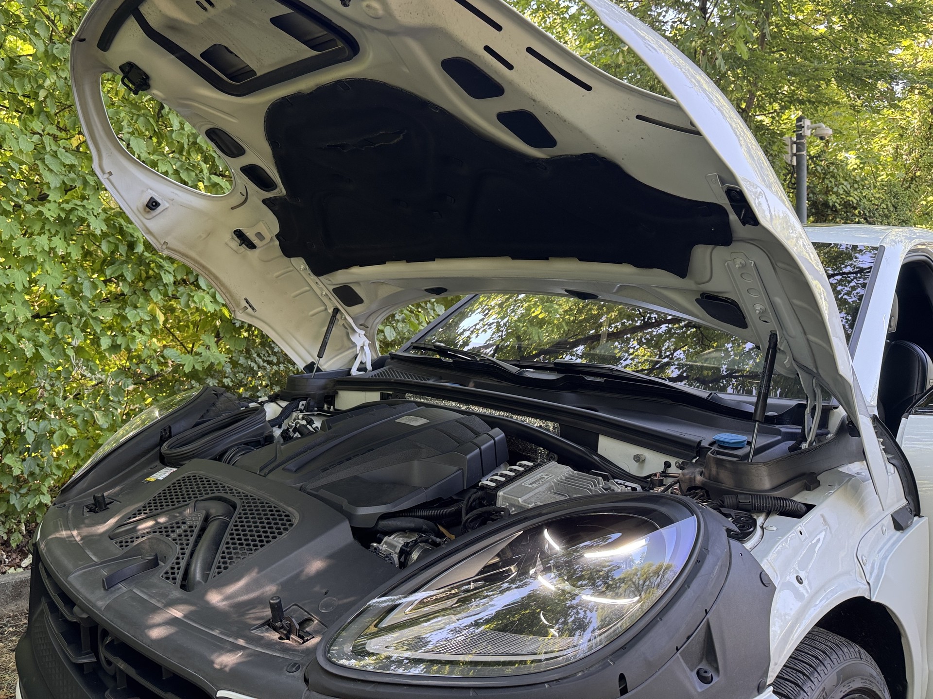 PORSCHE Macan GTS PDK-image-9