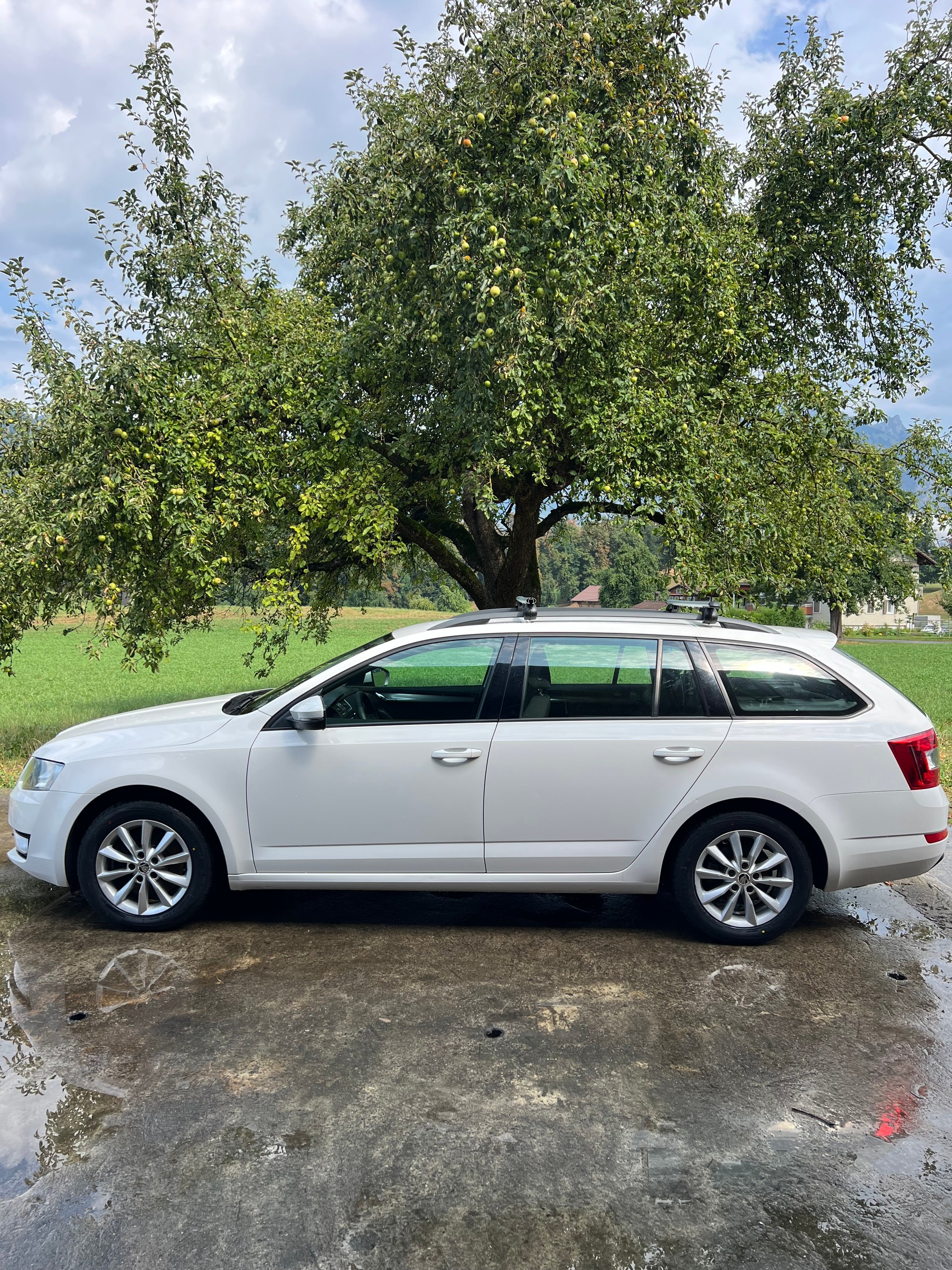 SKODA Octavia Combi 2.0 TDI Ambition 4x4 DSG-image-1