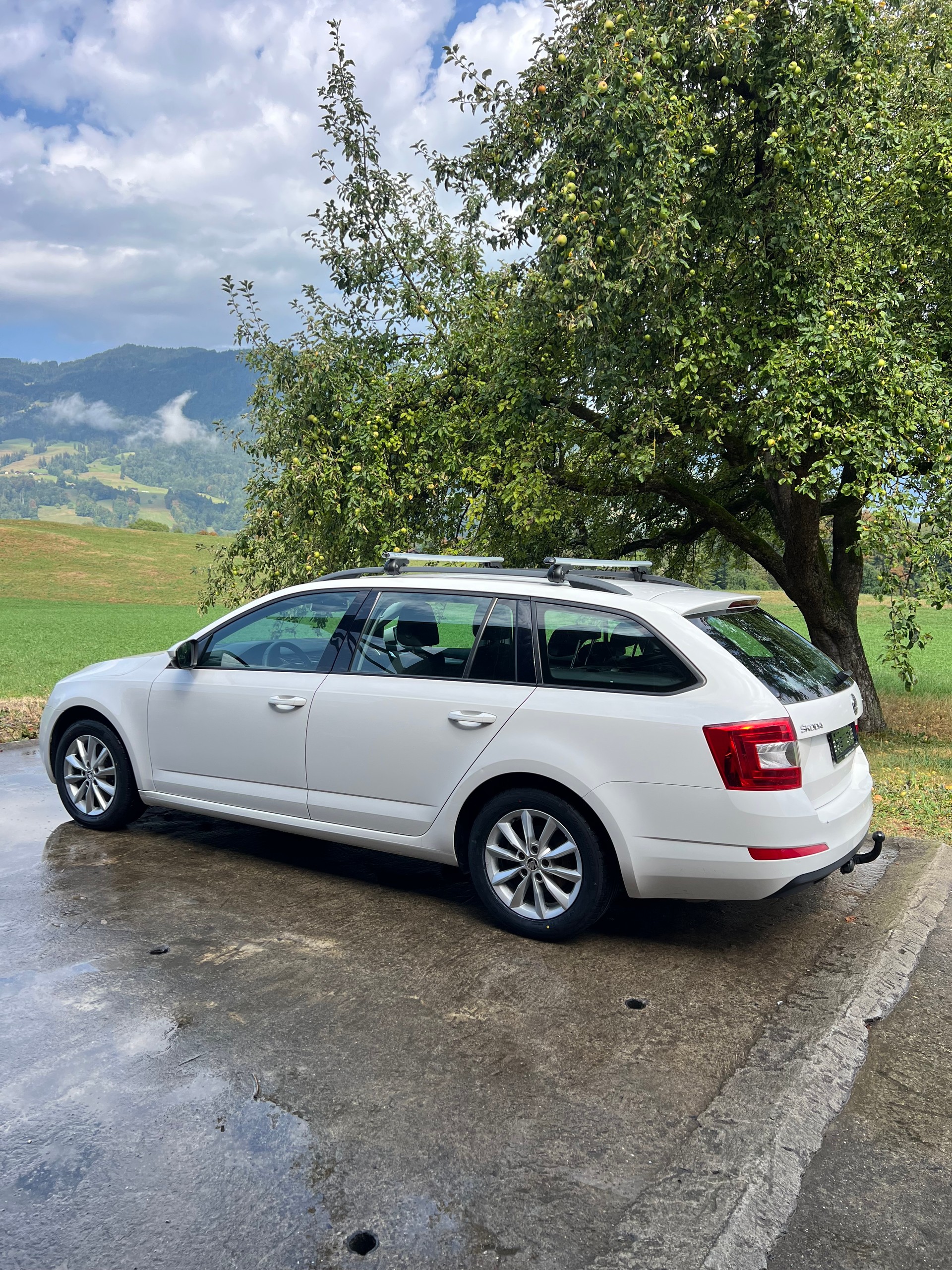 SKODA Octavia Combi 2.0 TDI Ambition 4x4 DSG-image-2