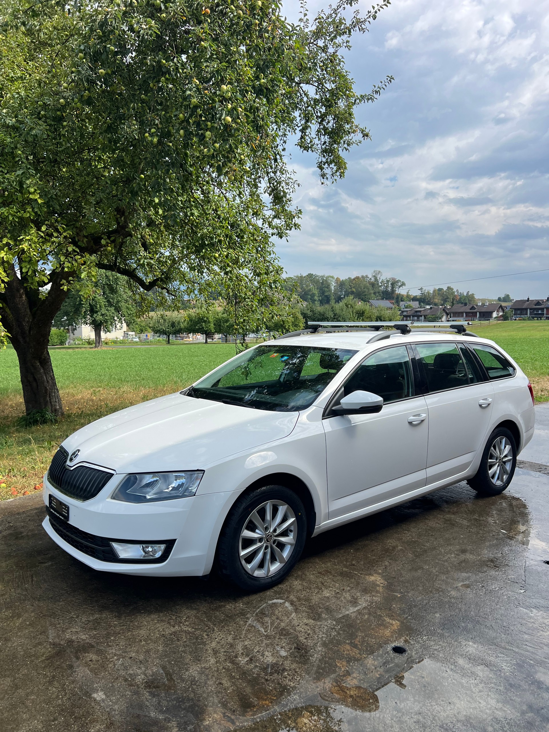 SKODA Octavia Combi 2.0 TDI Ambition 4x4 DSG-image-0