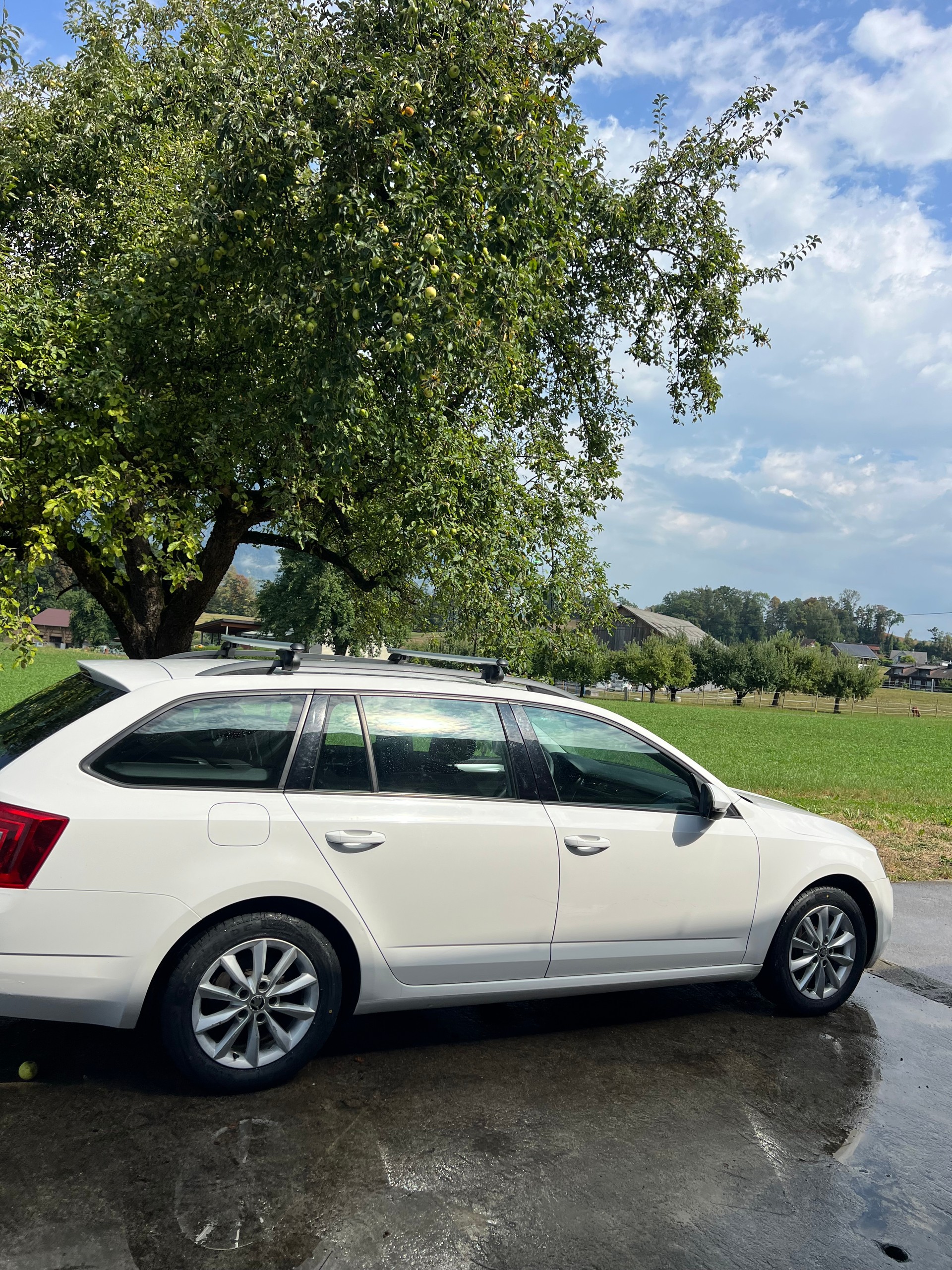 SKODA Octavia Combi 2.0 TDI Ambition 4x4 DSG-image-8
