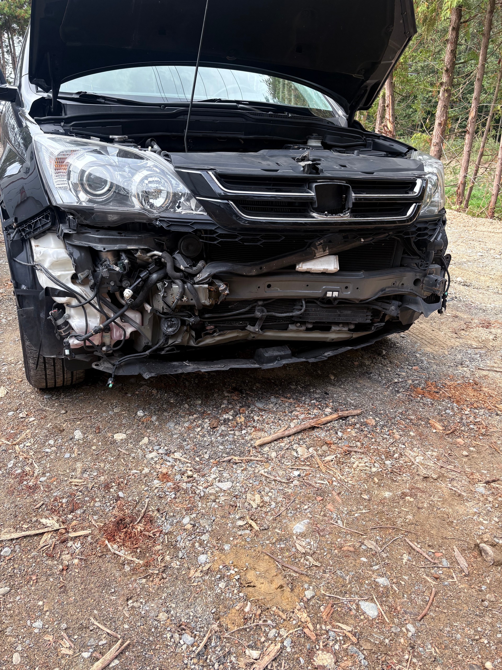 HONDA CR-V 2.2 i-DTEC 4WD Comfort Automatic-image-9