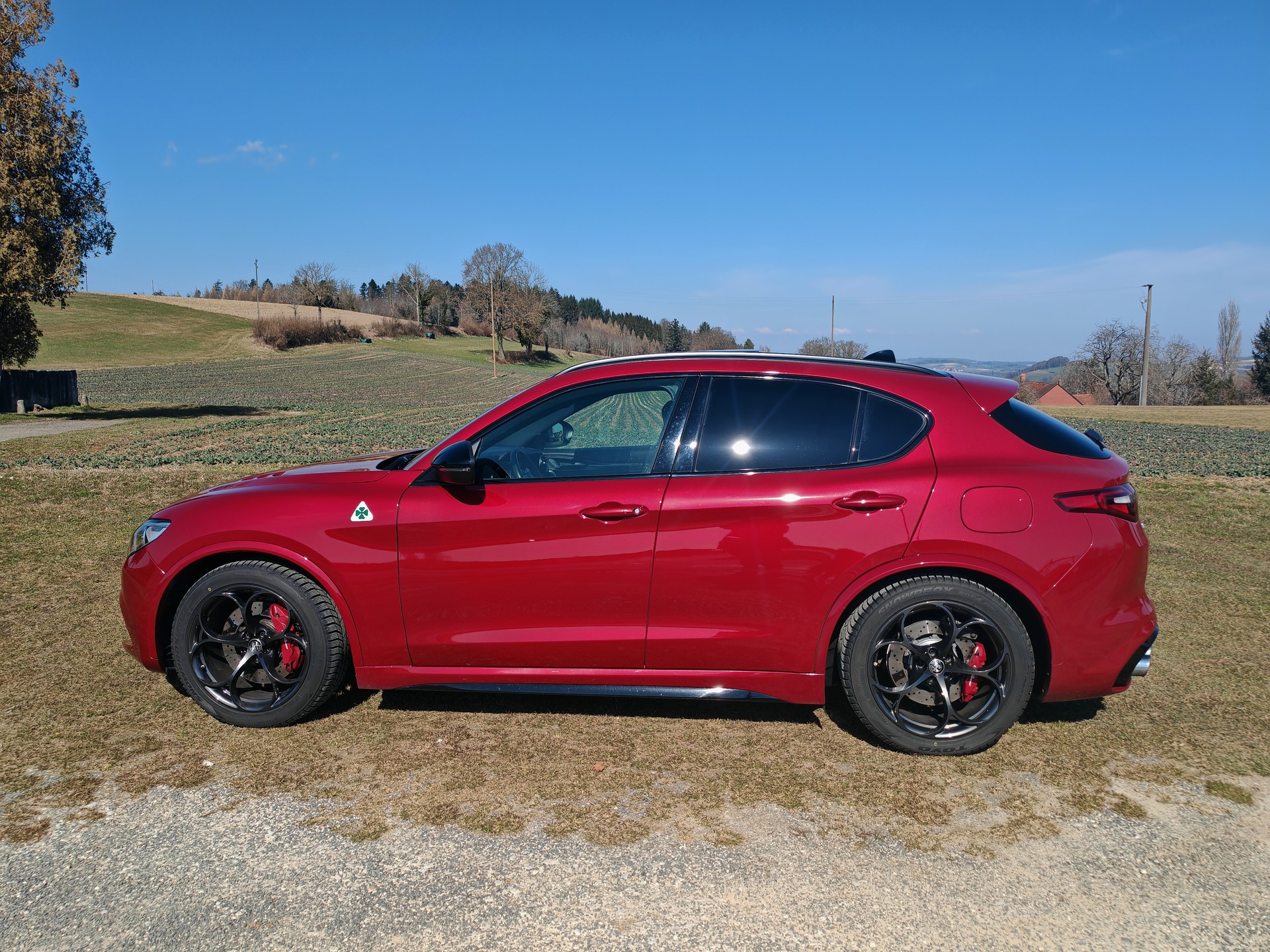 ALFA ROMEO Stelvio 2.9 V6 Quadrifoglio Q4 Automatic-image-1