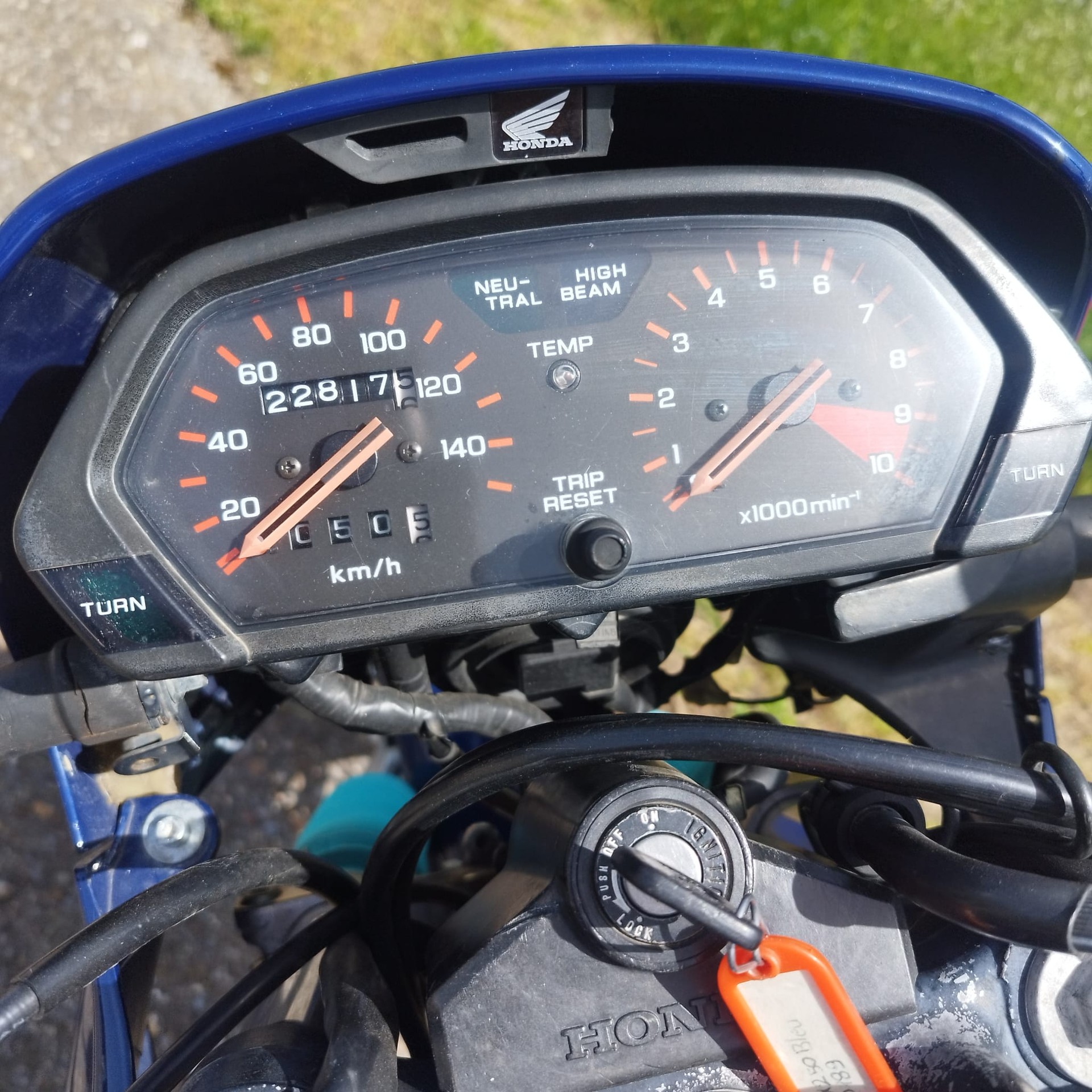 HONDA NX 250-image-2