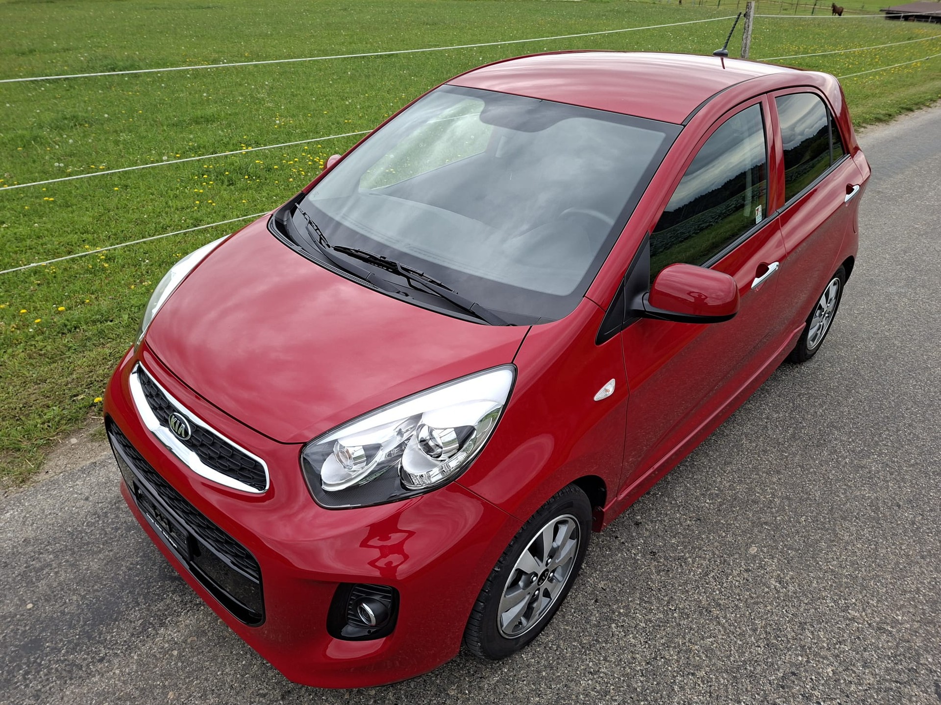 KIA Picanto 1.2 CVVT Trend-image-0