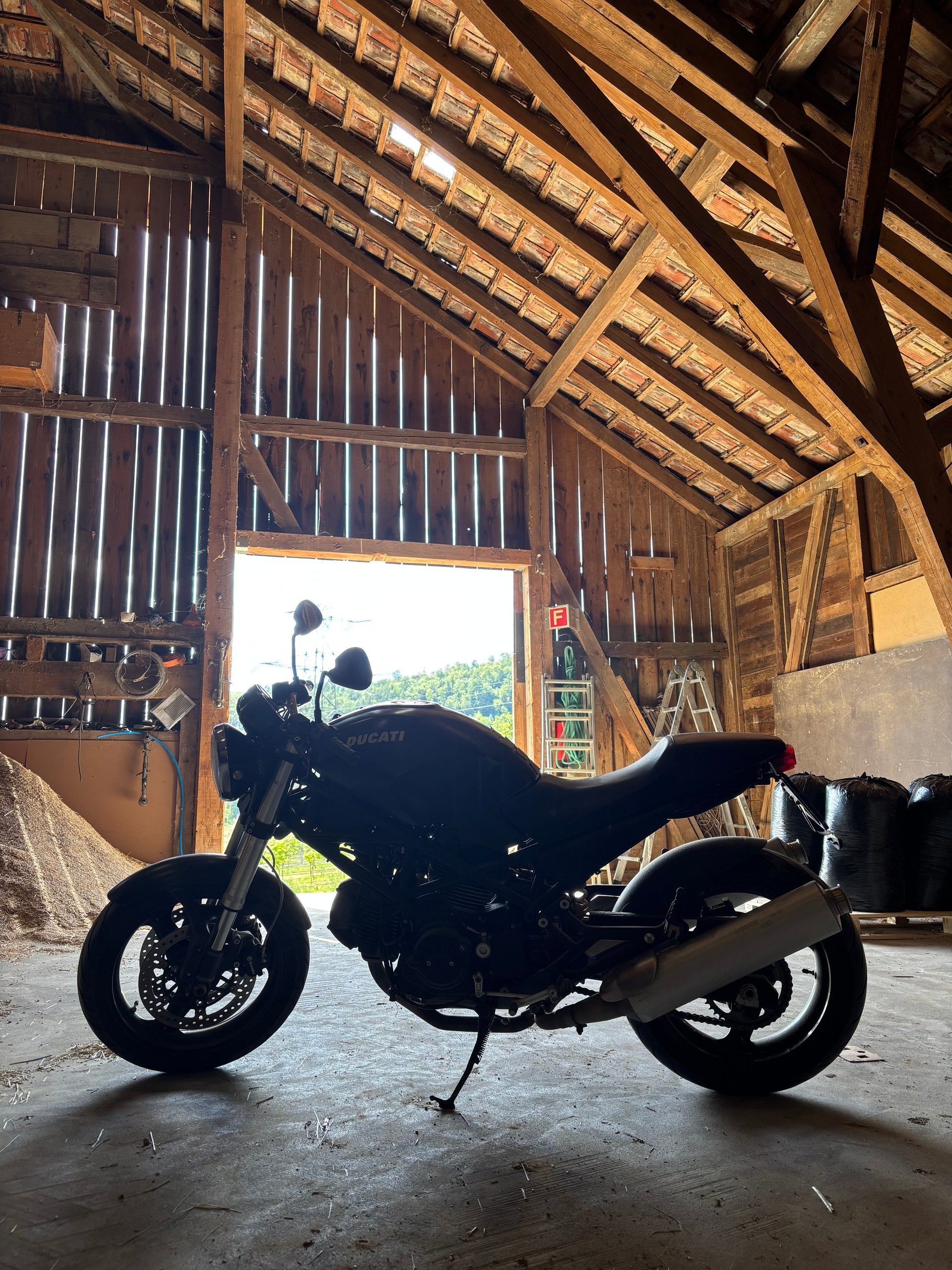 DUCATI Monster 695M-image-1