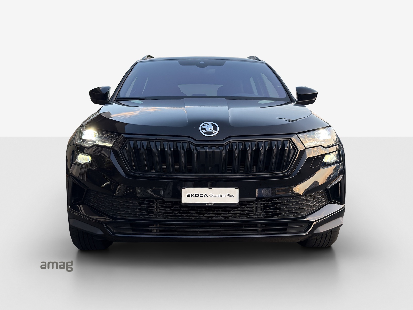 SKODA Karoq 2.0 TSI SportLine 4x4 DSG-image-6
